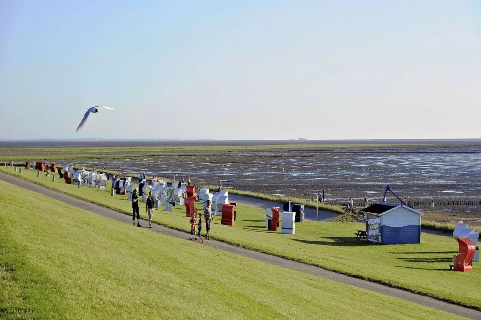 Komfort-Fewo EG 56 qm behindertenfreundlich-Gebieden zomer 5km
