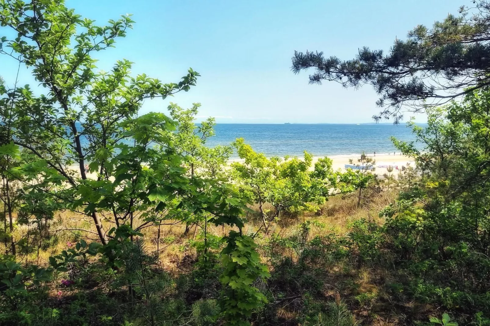 Apartament na 2 piętrze dla 3 osób-Gebieden zomer 5km