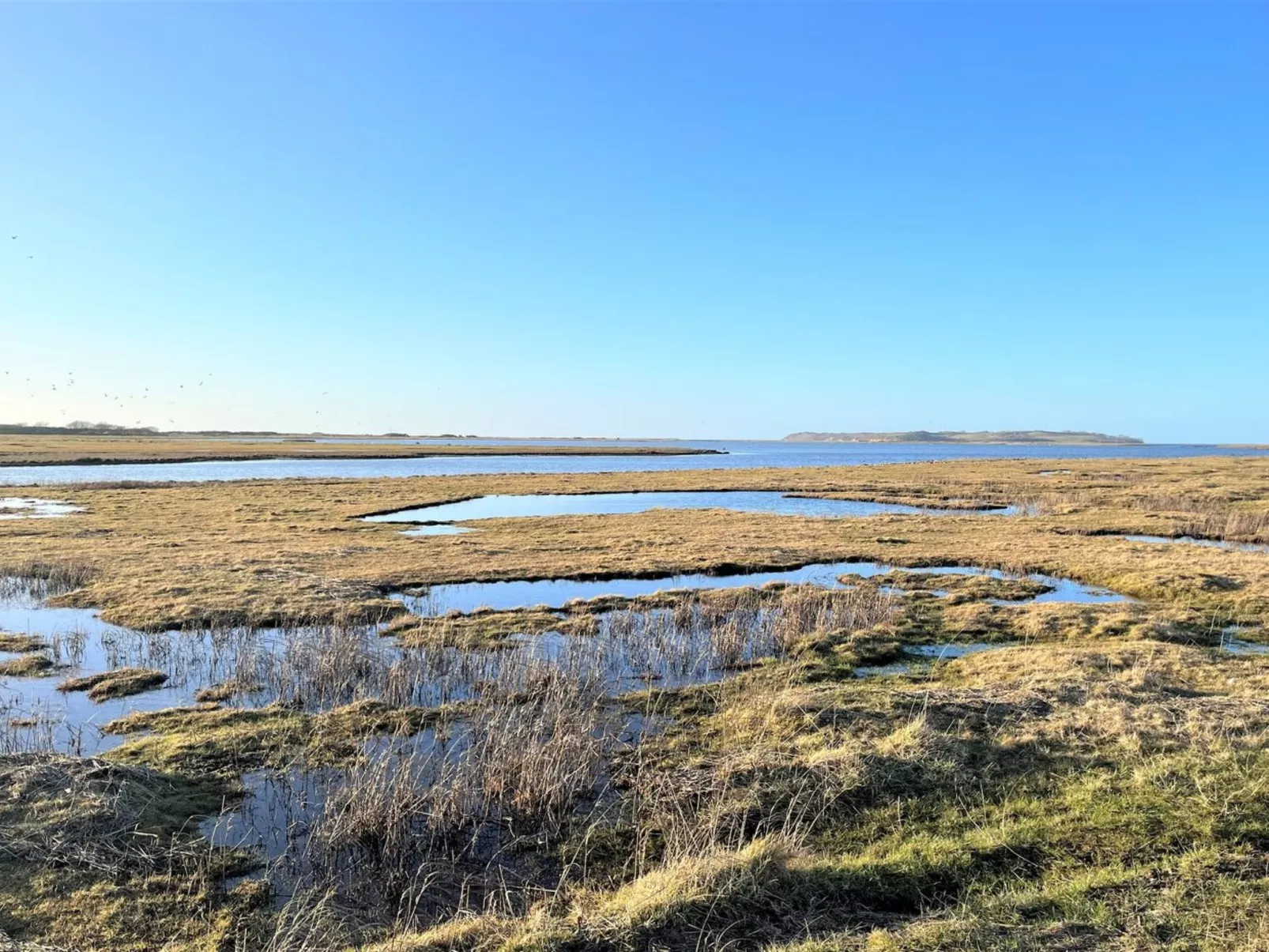 "Gregor" - 300m from the sea-Buiten