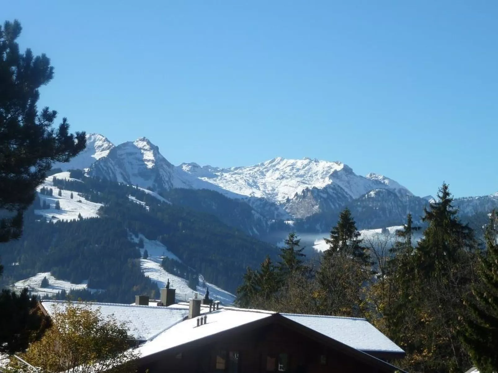 Suzanne Nr. 18 - 10343684