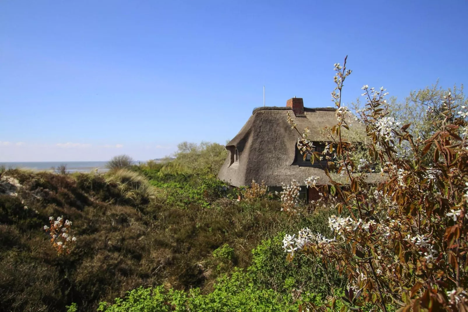 Ferienhaus am WATT List auf Sylt-Gebieden zomer 1km