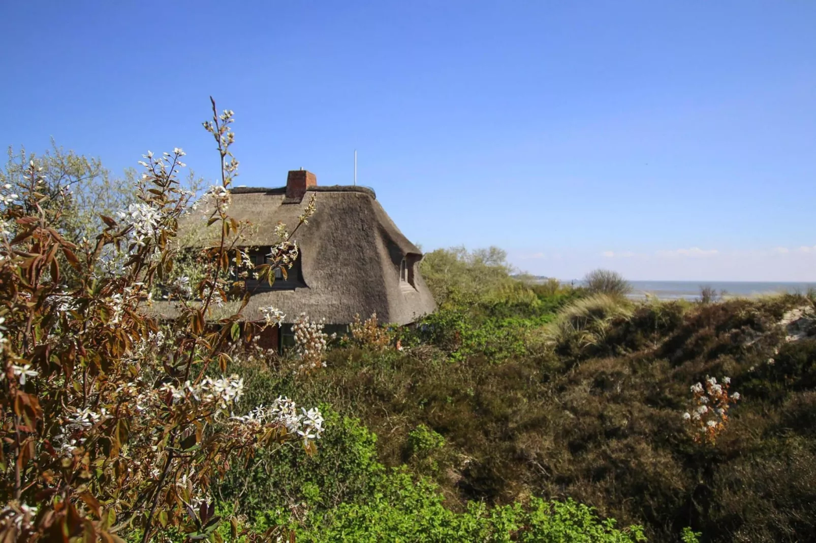 Ferienhaus am WATT List auf Sylt-Gebieden zomer 1km