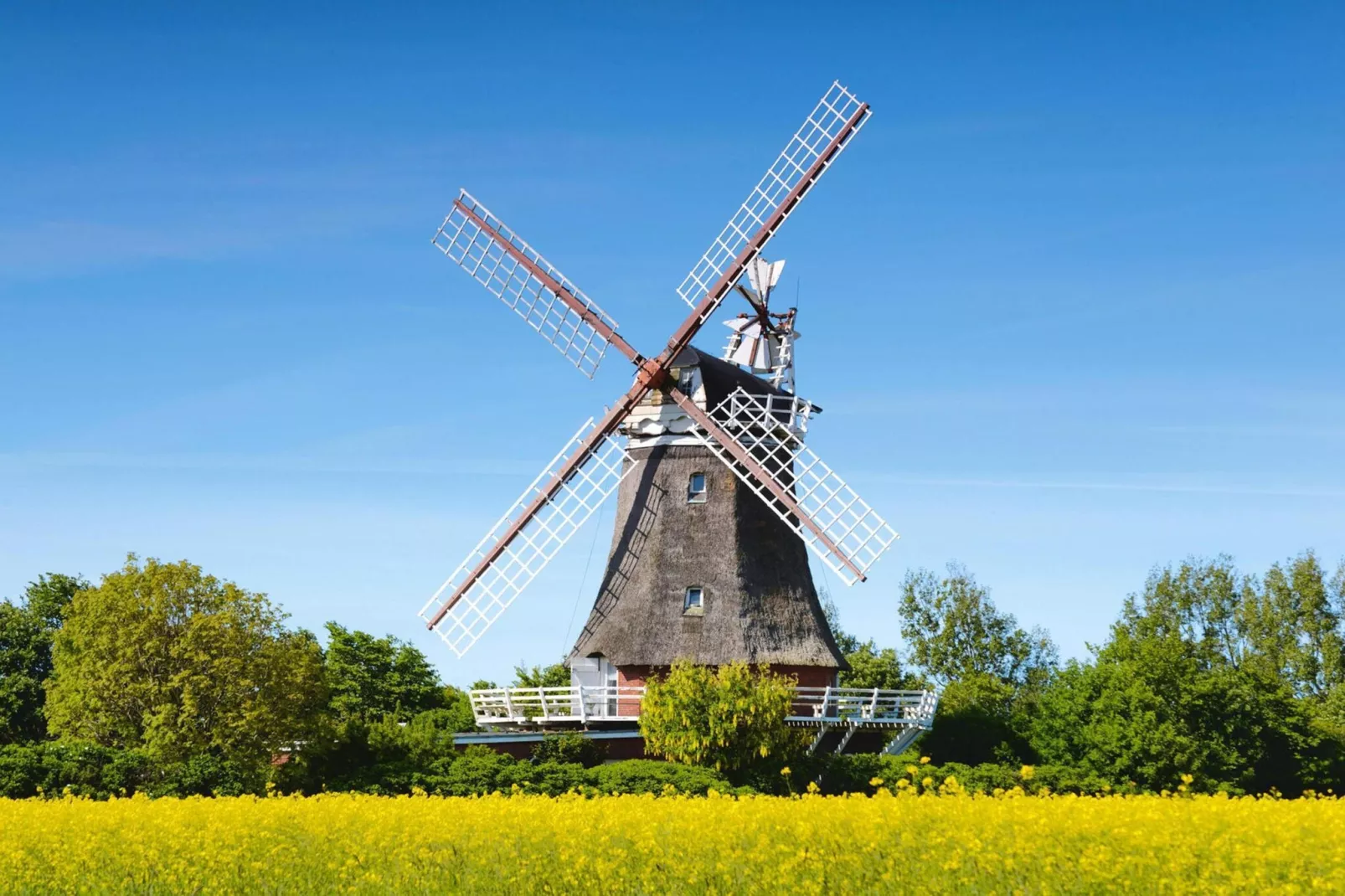 Doppelhaus in Oldsum - Haus 2-Gebieden zomer 5km