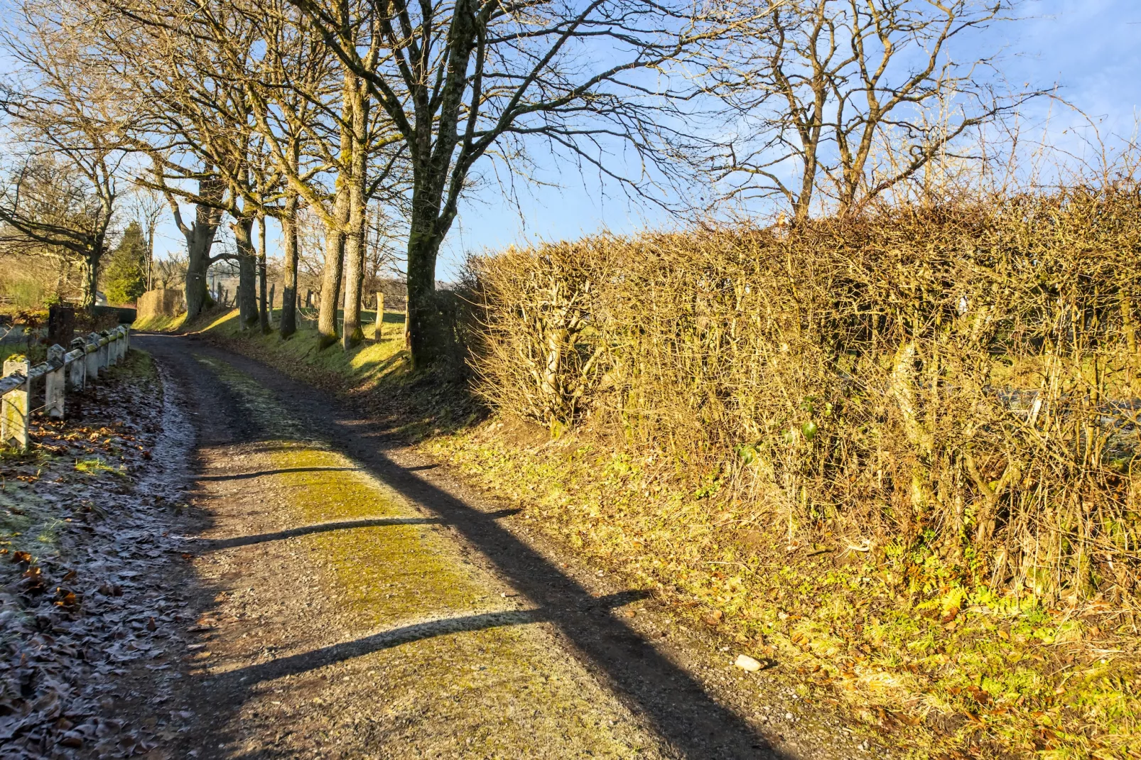 Bois d'Awenne-Gebieden zomer 5km