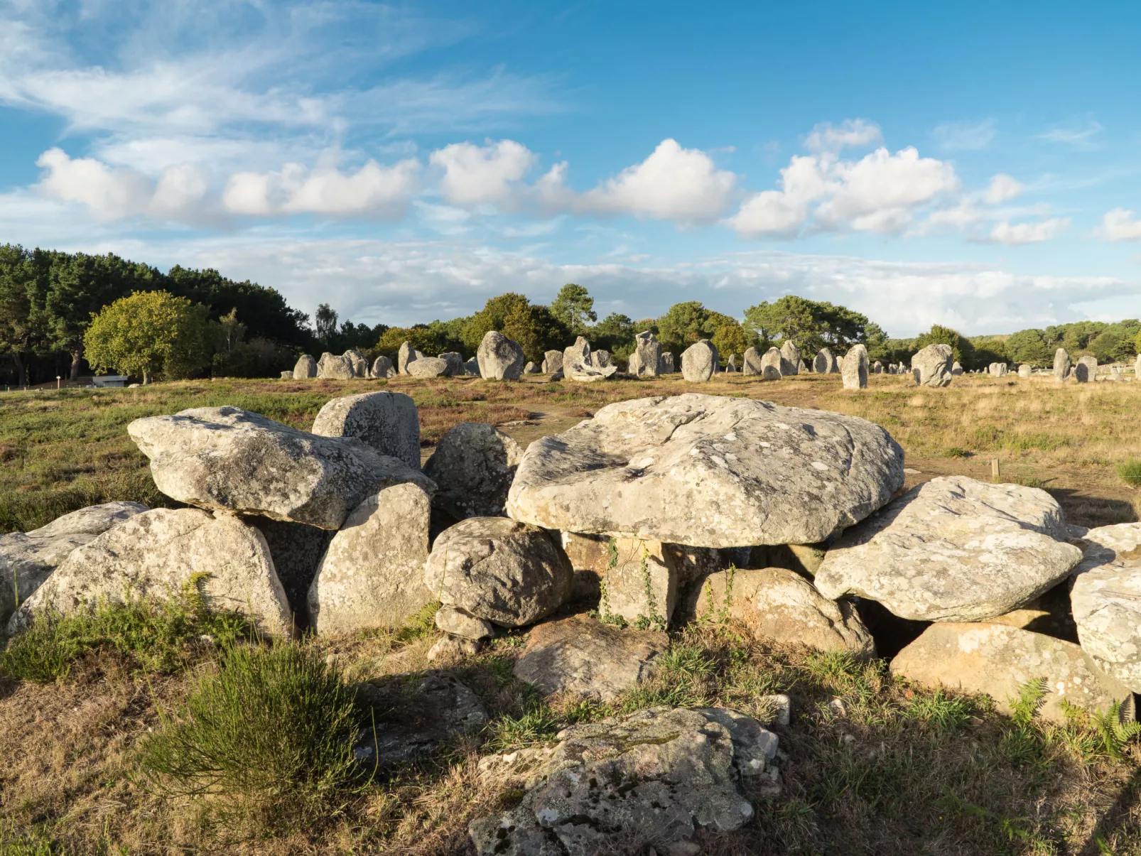 Le Spi-Omgeving