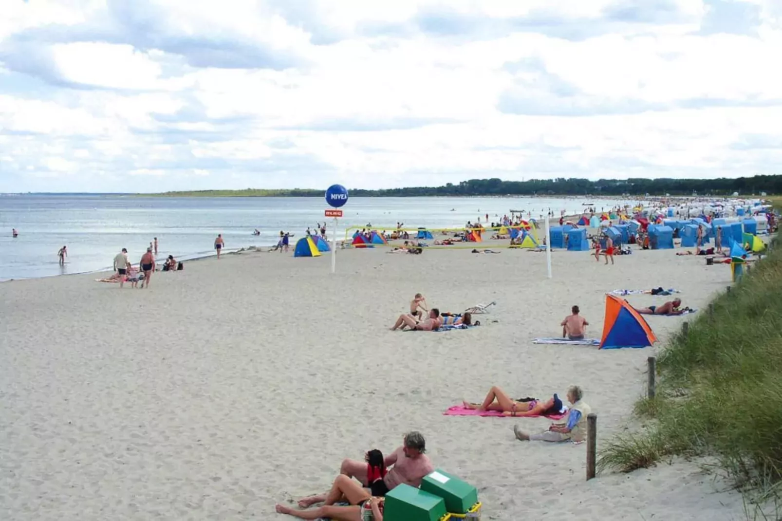 Ferienhaus de Poeler Drift 5 Personen-Gebieden zomer 1km