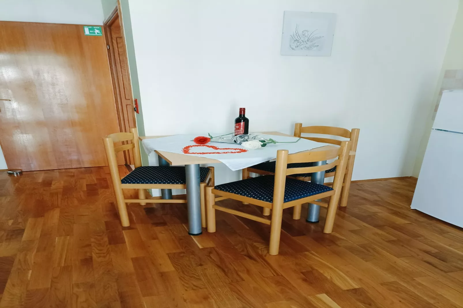 Apartman Biondic DN-Keuken