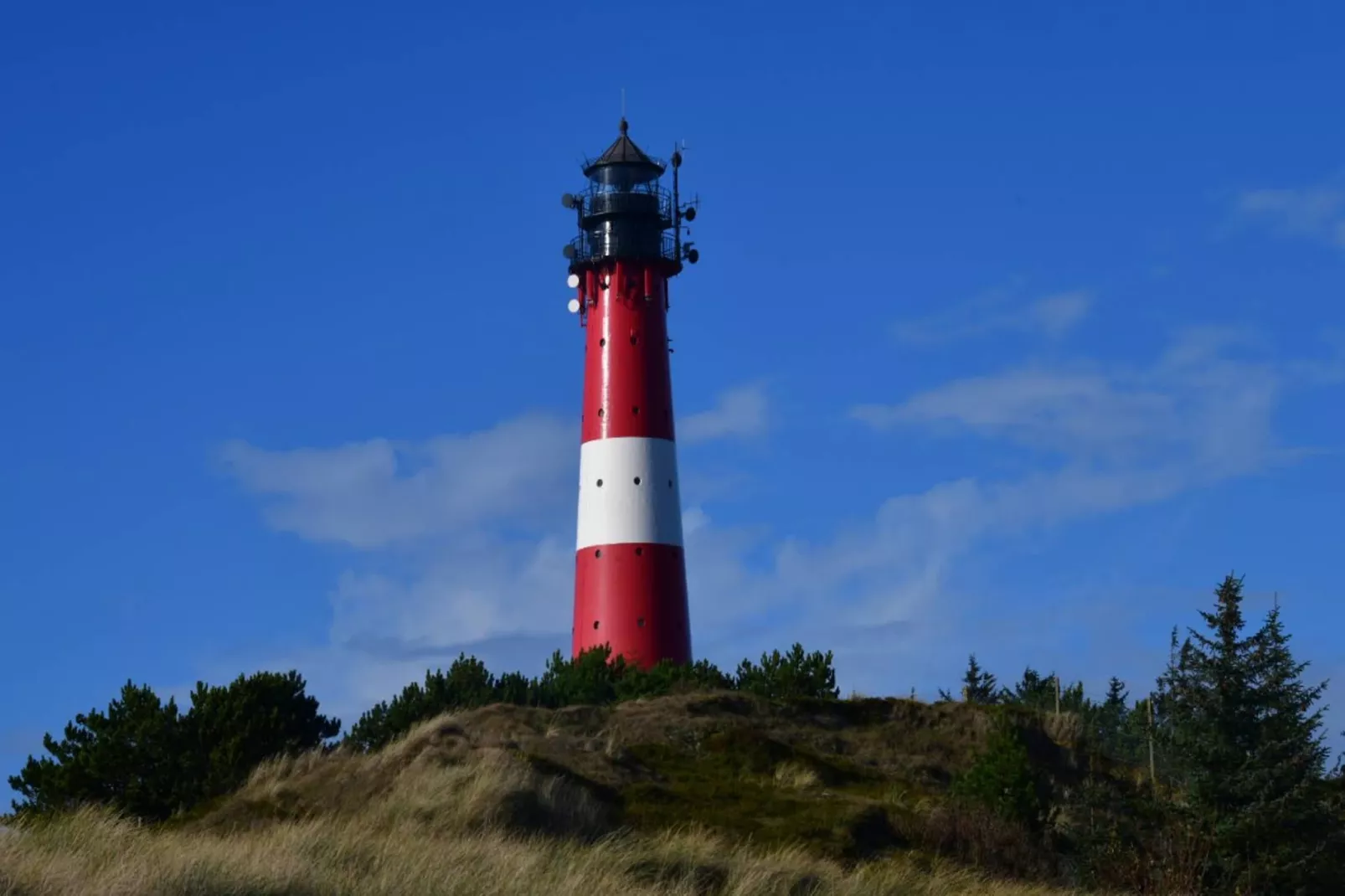 Ferienpark Markgrafenheide Studio 50 qm-Gebieden zomer 5km