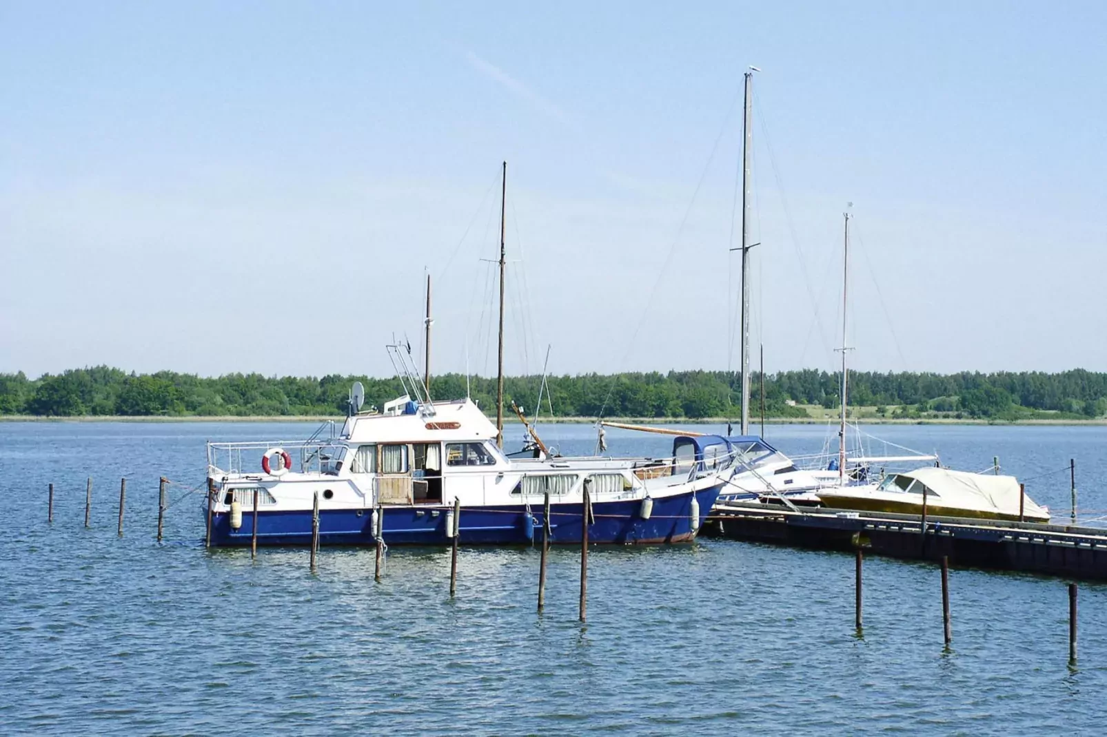Ferienhaus Ribnitz-Damgarten-Ferienhaus Gerth-Gebieden zomer 1km