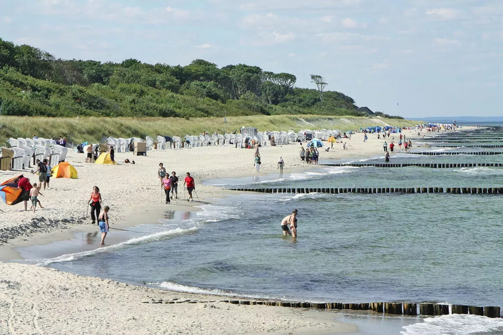 Ferienwohnung Schütt 55 qm-Gebieden zomer 5km