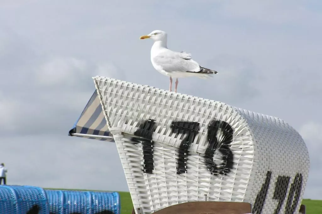 264423-Niet-getagd