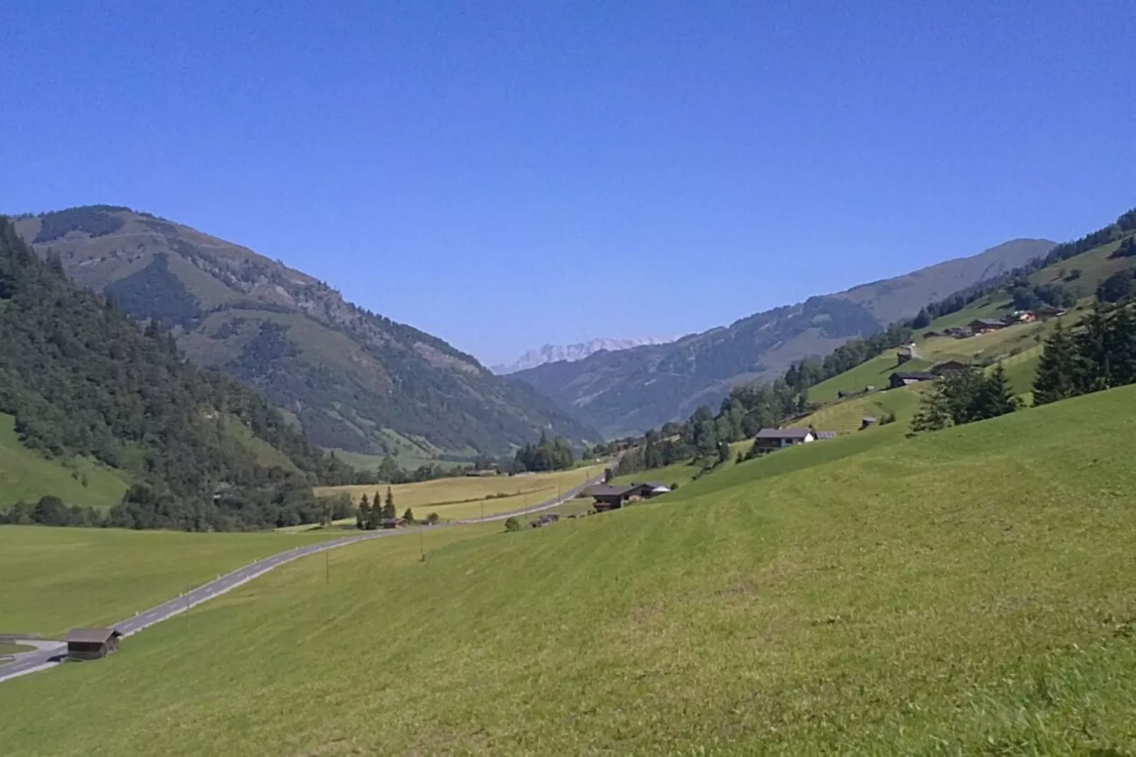 374461-Gebieden zomer 1km