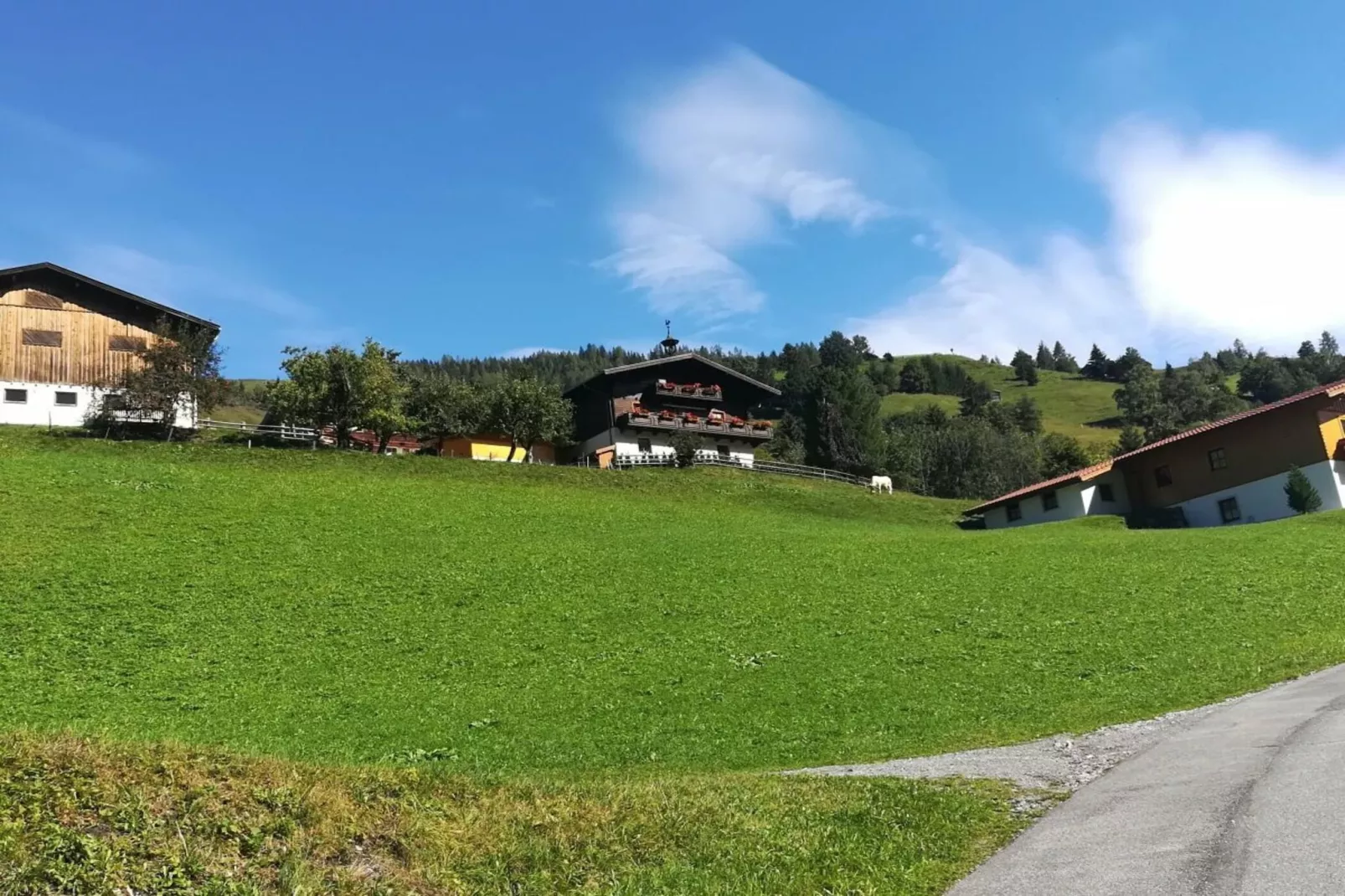 374461-Gebieden zomer 1km