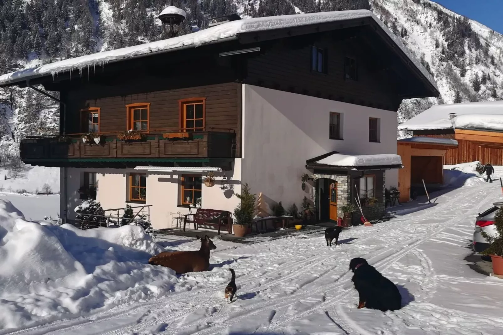 374461-Exterieur winter