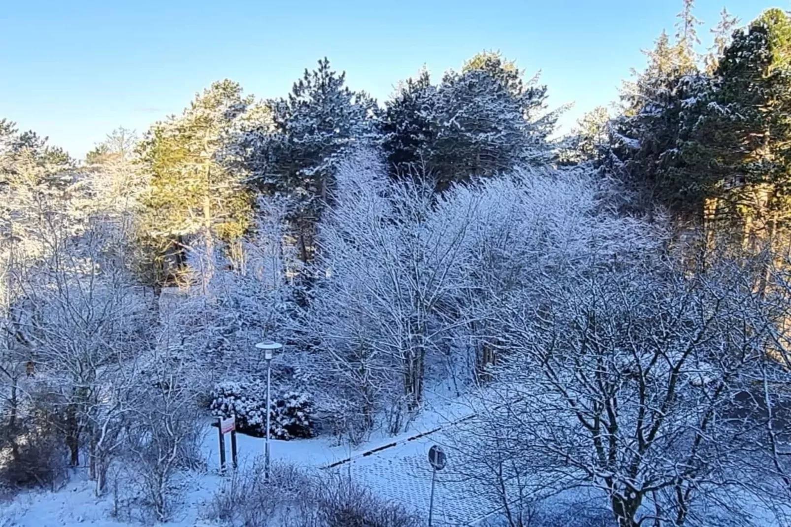 393310-Gebied winter 5km