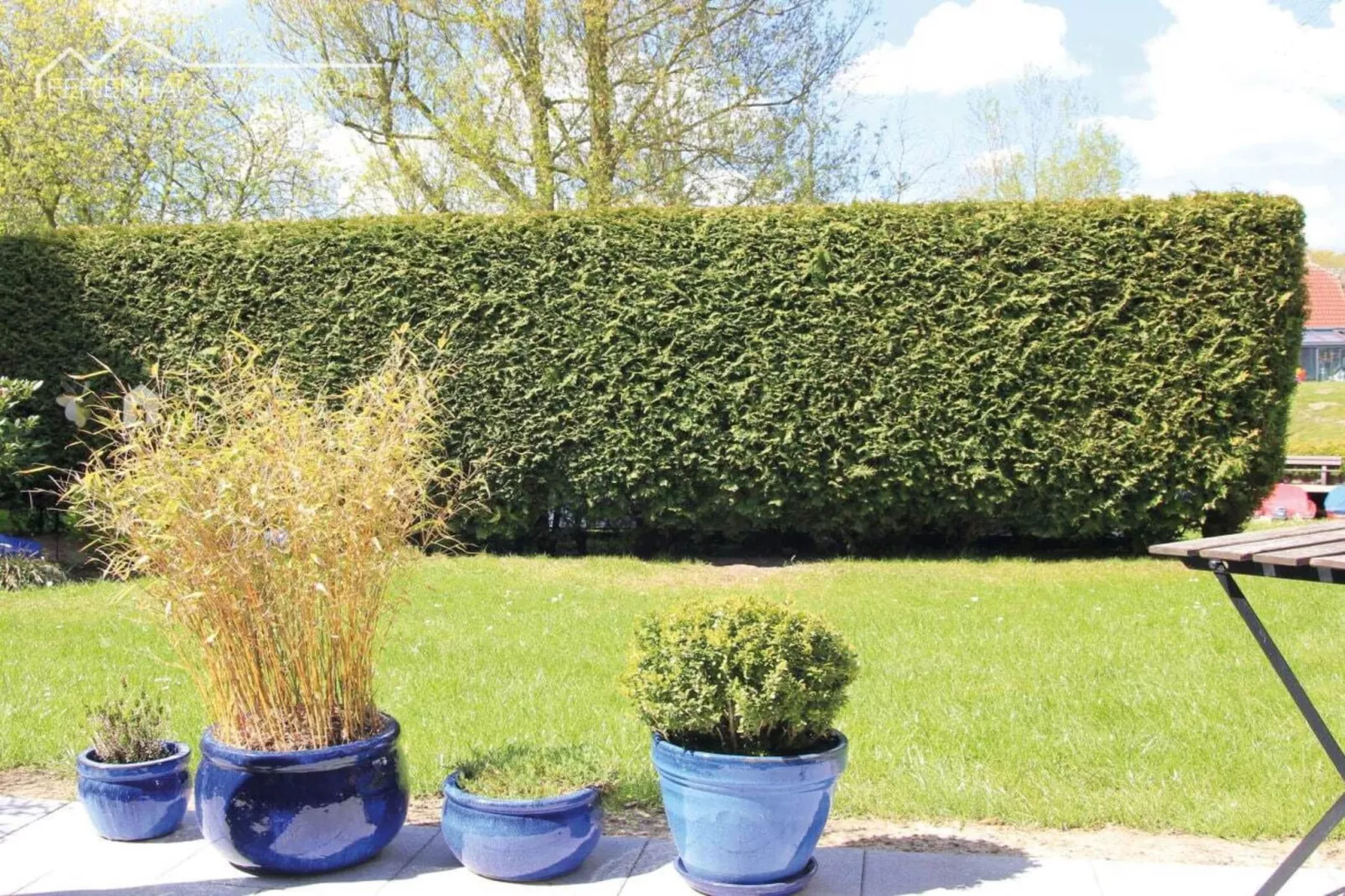 497670-Tuinen zomer