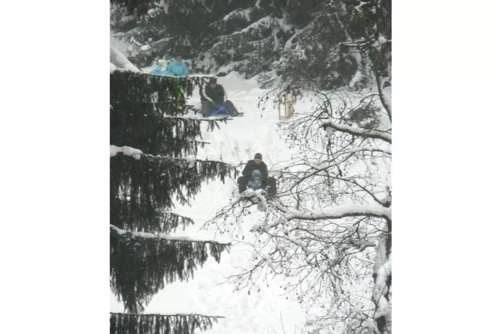 51776-Gebied winter 5km