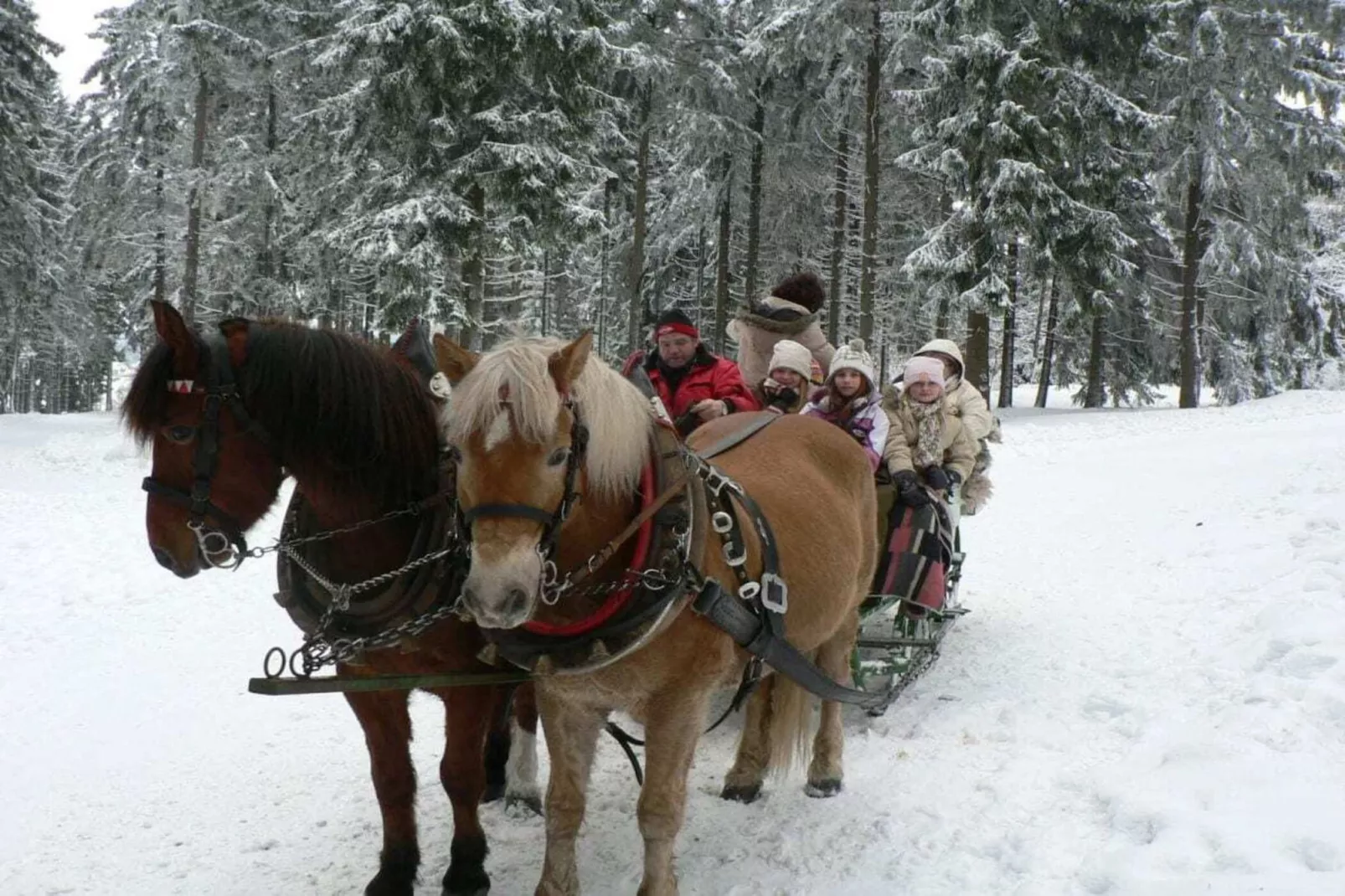 51776-Gebied winter 20km