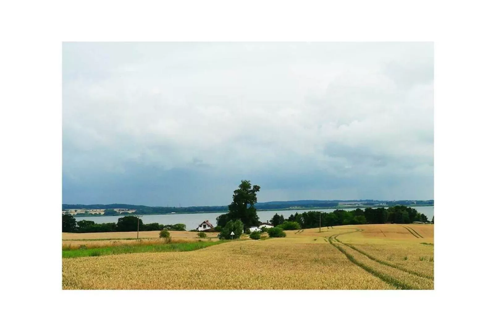 99316-Gebieden zomer 5km