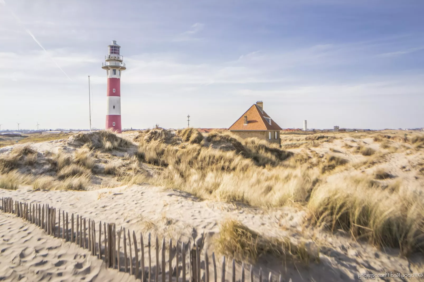 WIELINGERBANK E 404-Gebieden zomer 5km
