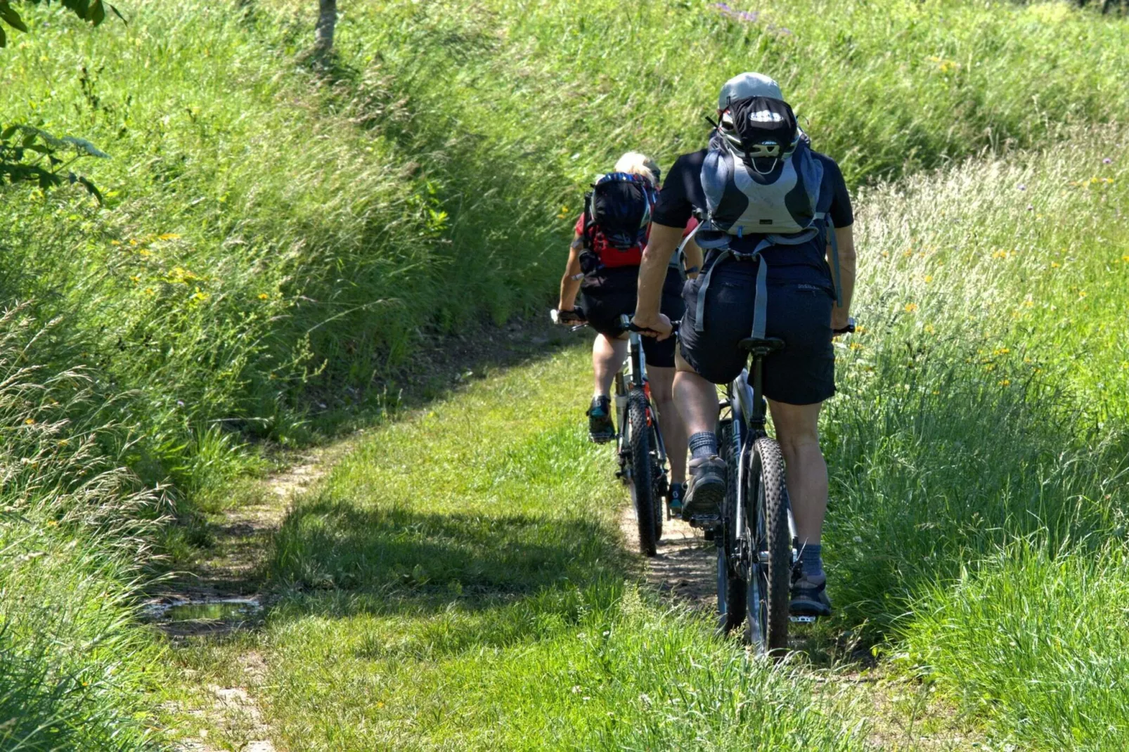 Tvåbäddsrum, delad dusch, husdjursvänlig-Buitenlucht