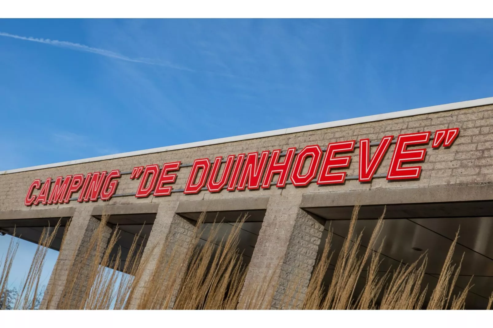 Chalet - Camping de Duinhoeve 'Bosdier'-Buitenkant zomer