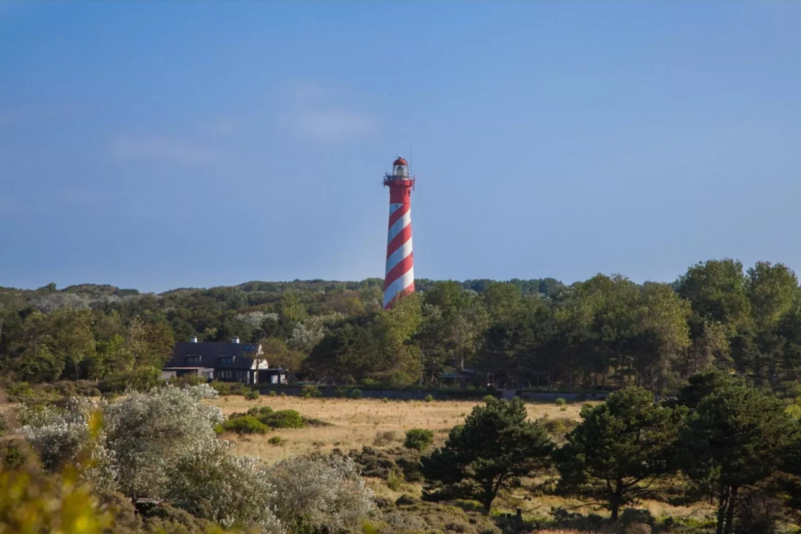 Chalet - Camping de Duinhoeve 'Bosdier'-Gebieden zomer 5km
