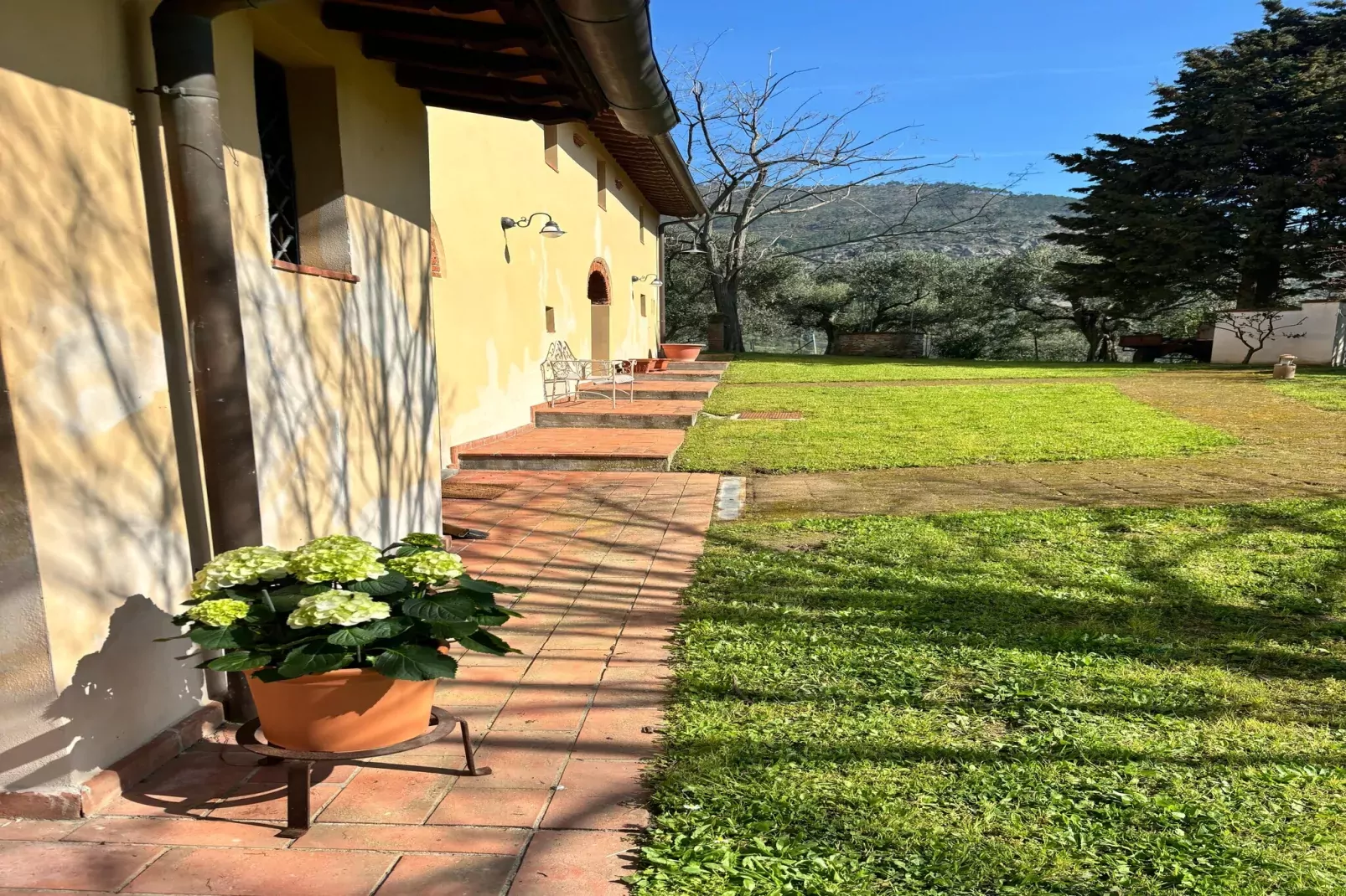 Tenuta del Serra-Buitenkant zomer