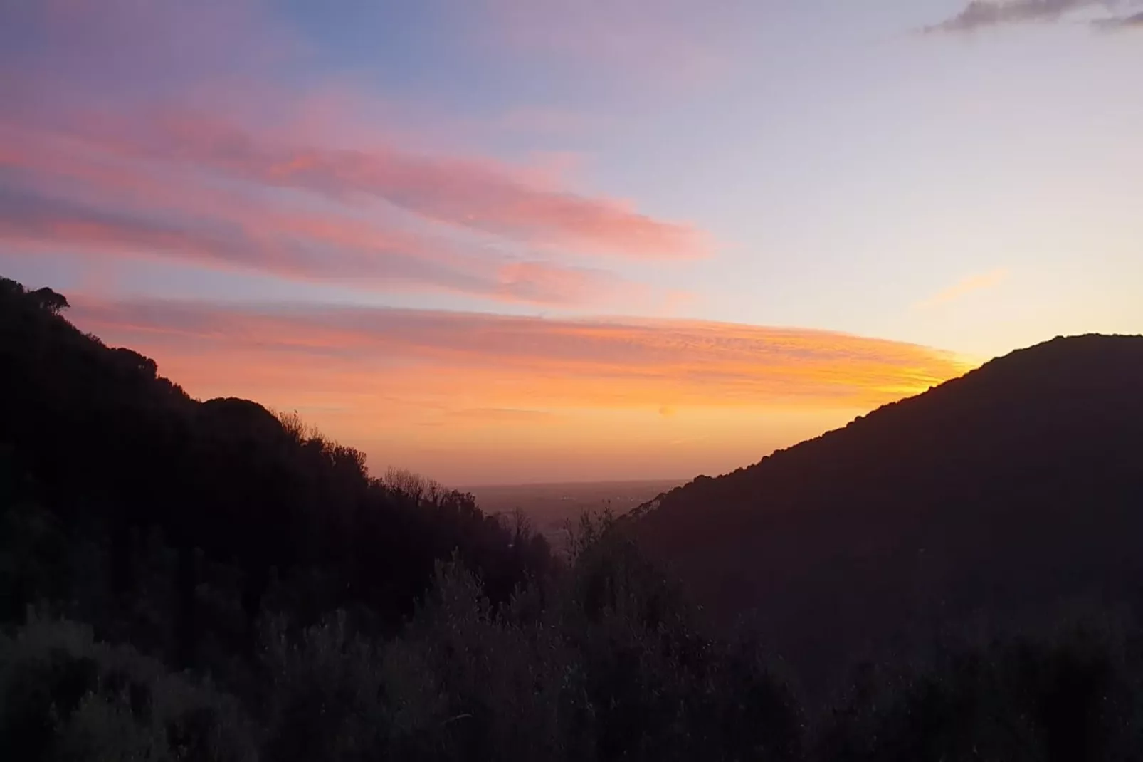 Tenuta del Serra-Sfeer