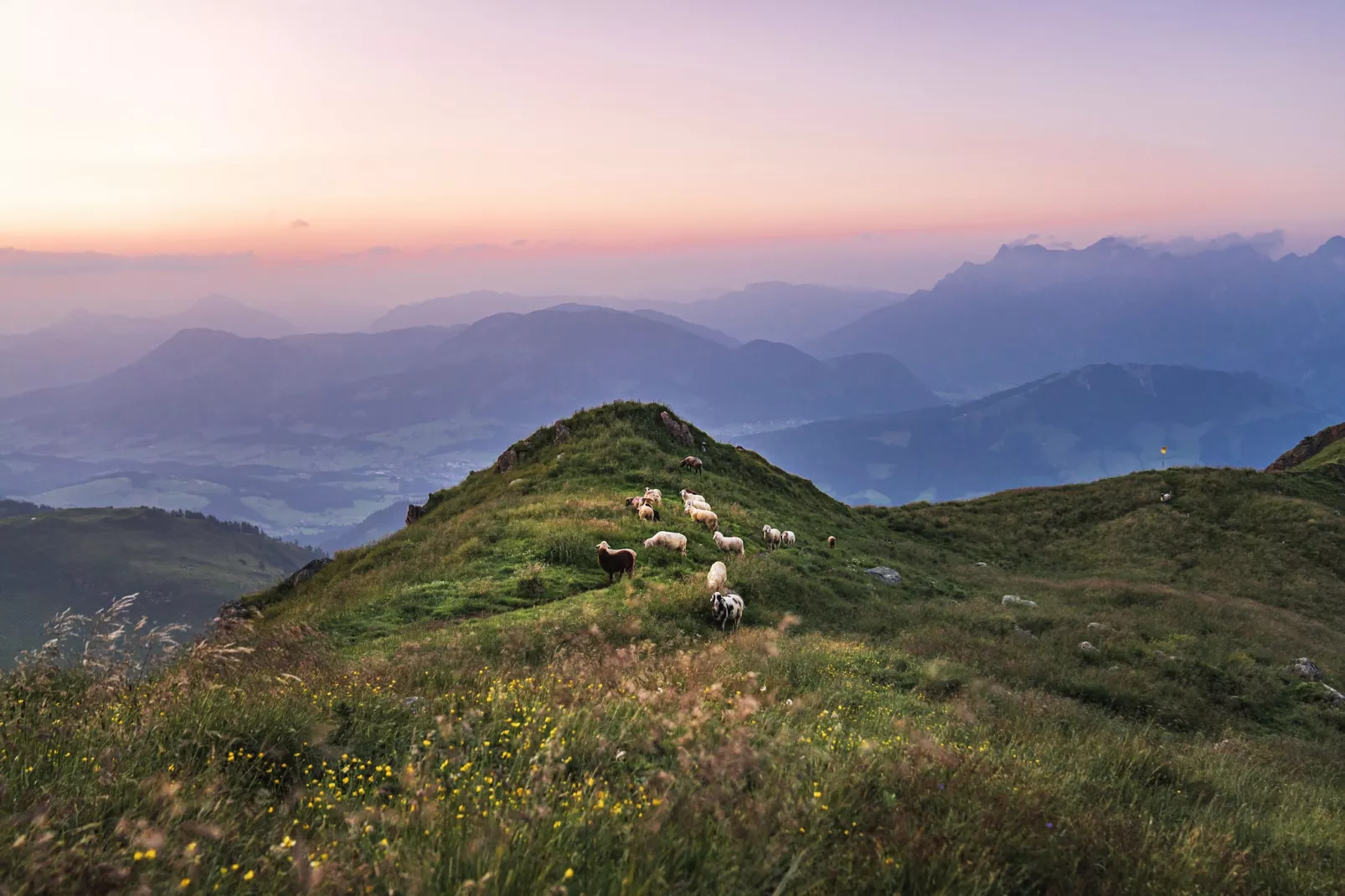 Dorfresort Kitzbühel 8-Gebieden zomer 5km