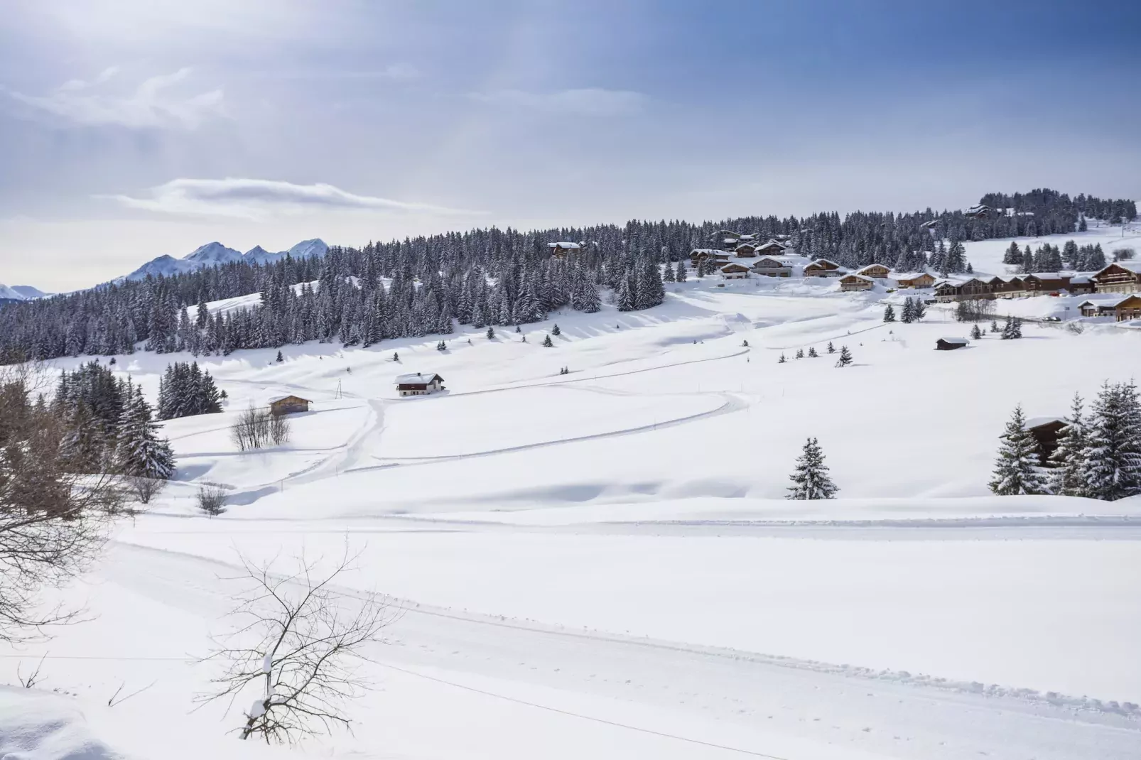 Résidence Les Chalets des Cimes 6-S8M-Gebied winter 5km