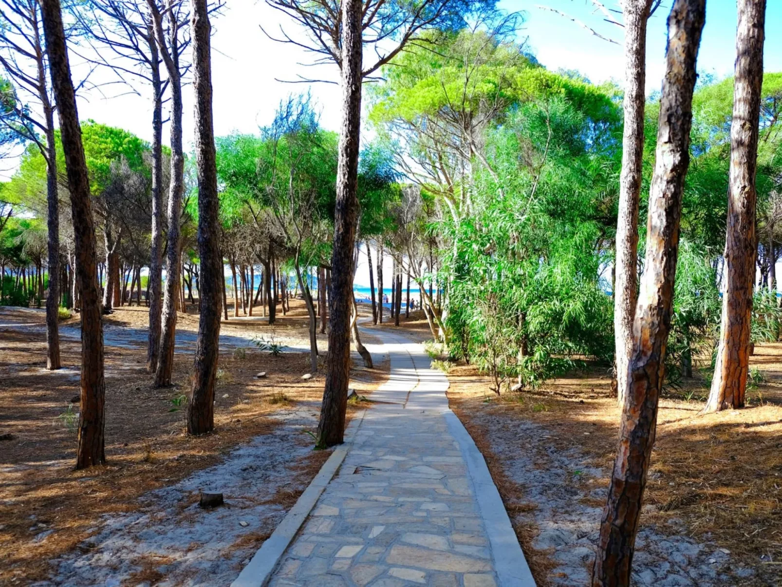 Selema Camping-Buiten