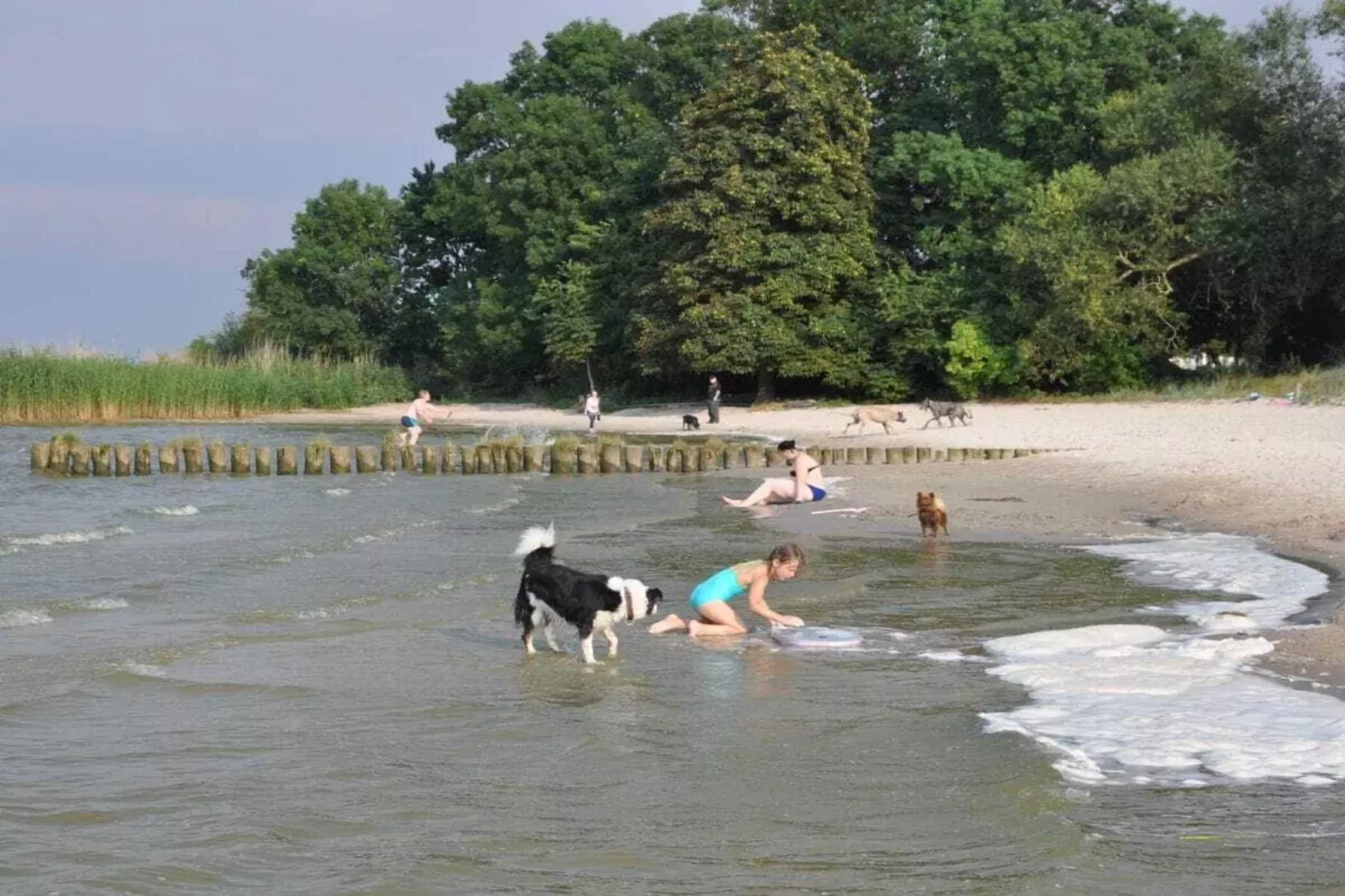 199701-Gebieden zomer 20km