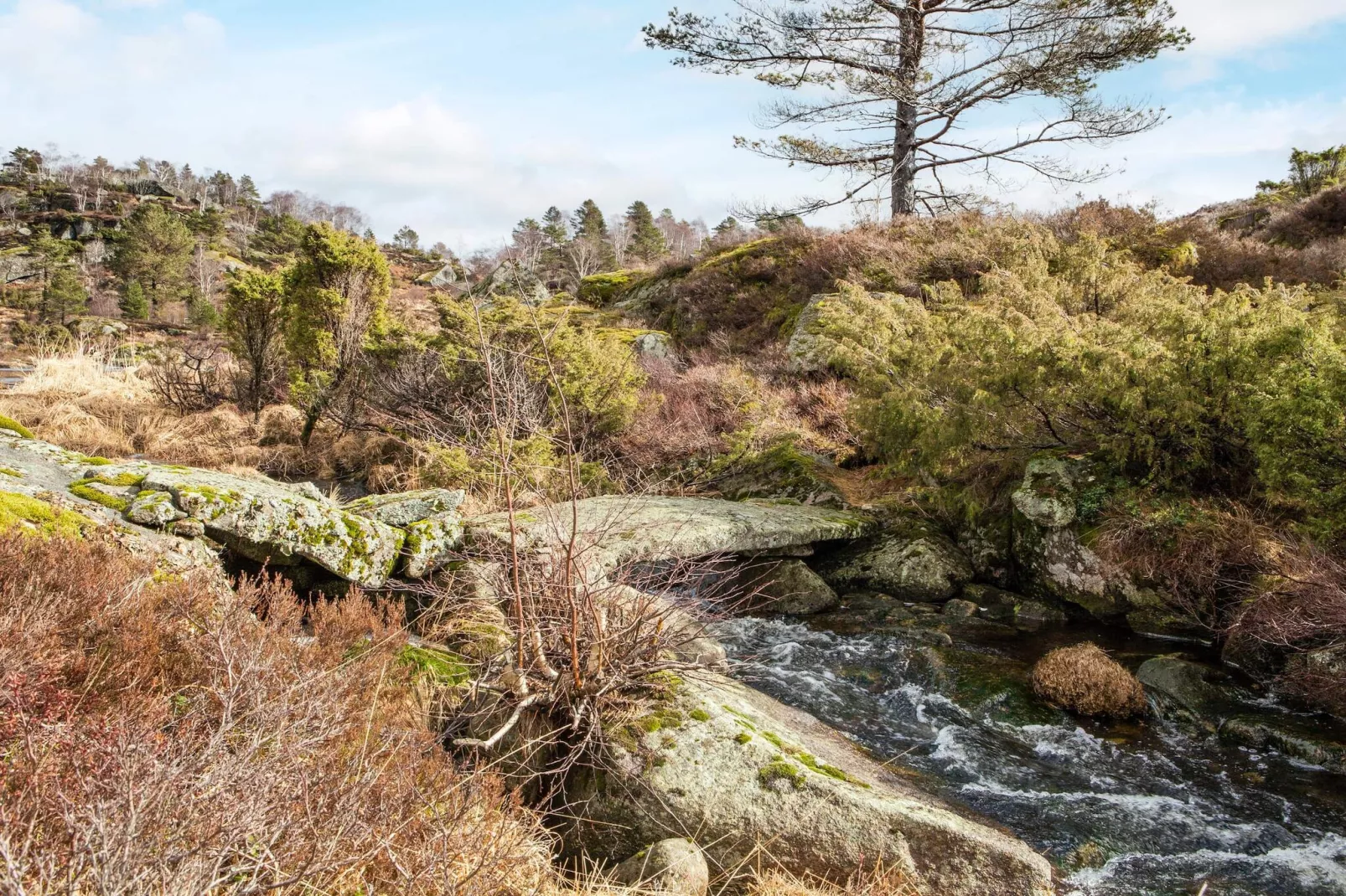 7 Personen vakantie huis in lyngdal