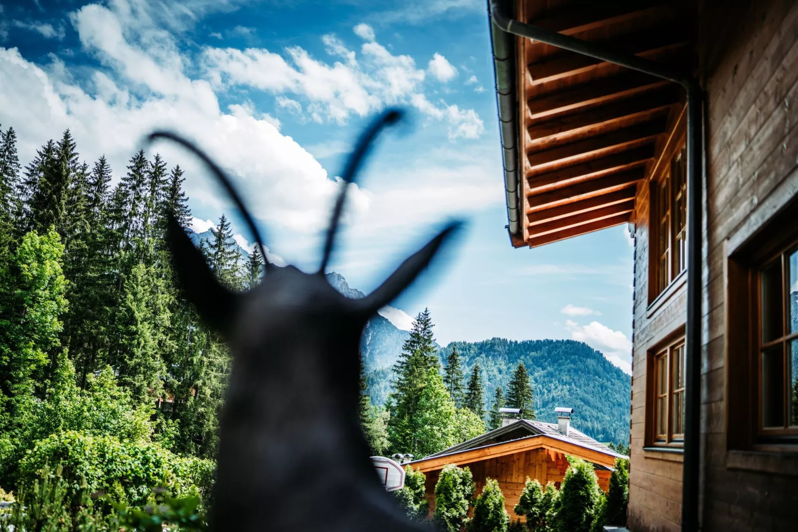 Chalet Gamsglück in Waidring-Niet-getagd