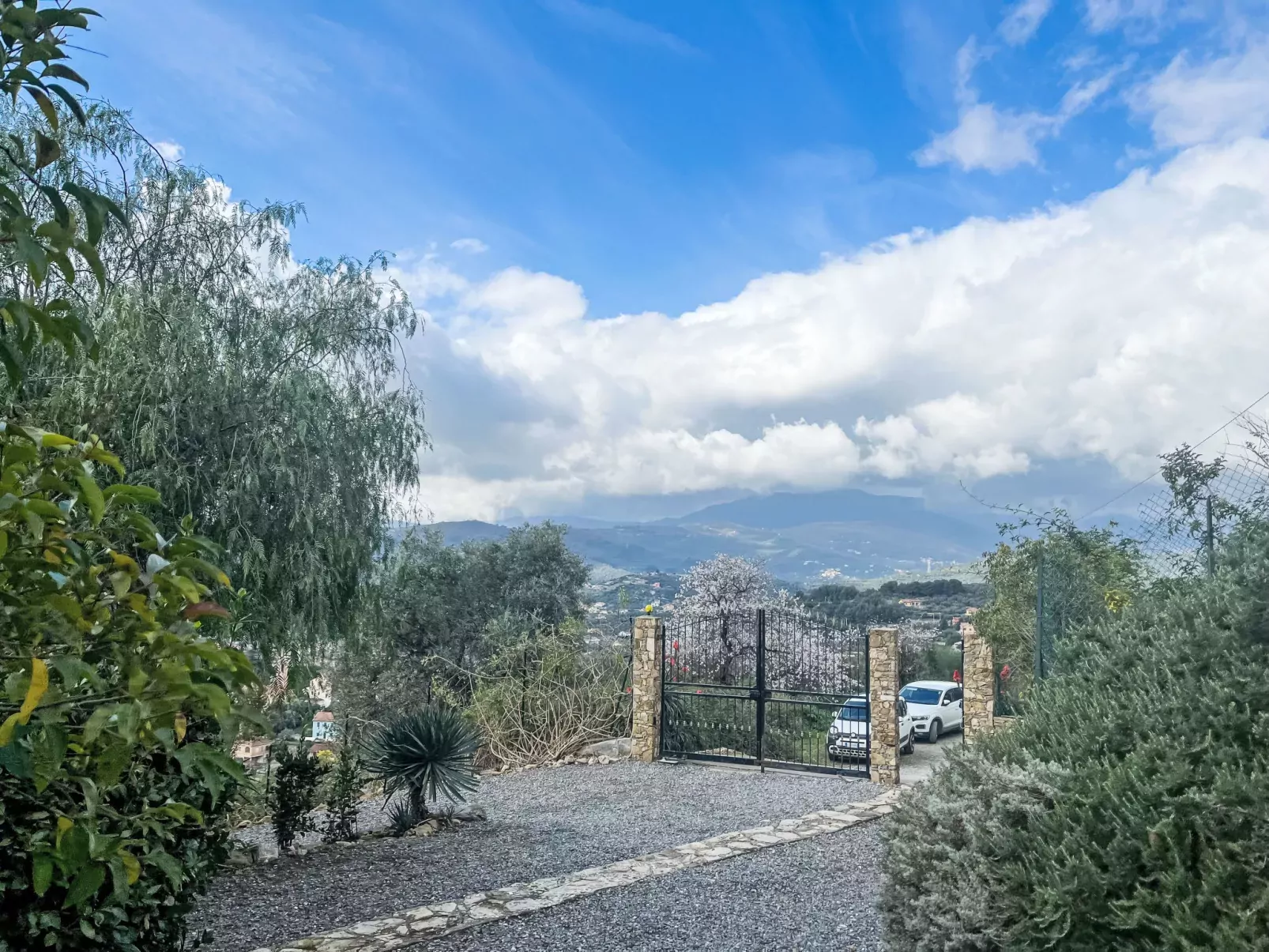 Villa degli Ulivi-Buiten