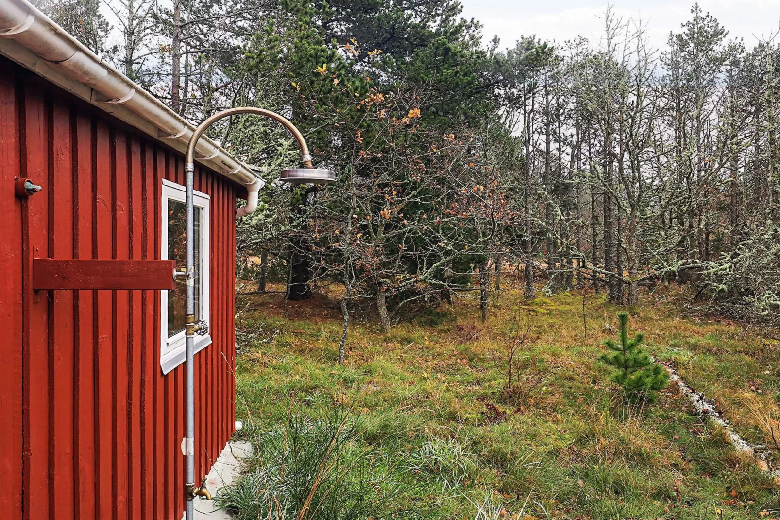 6 Personen vakantie huis in Ålbæk-By Traum-Uitzicht