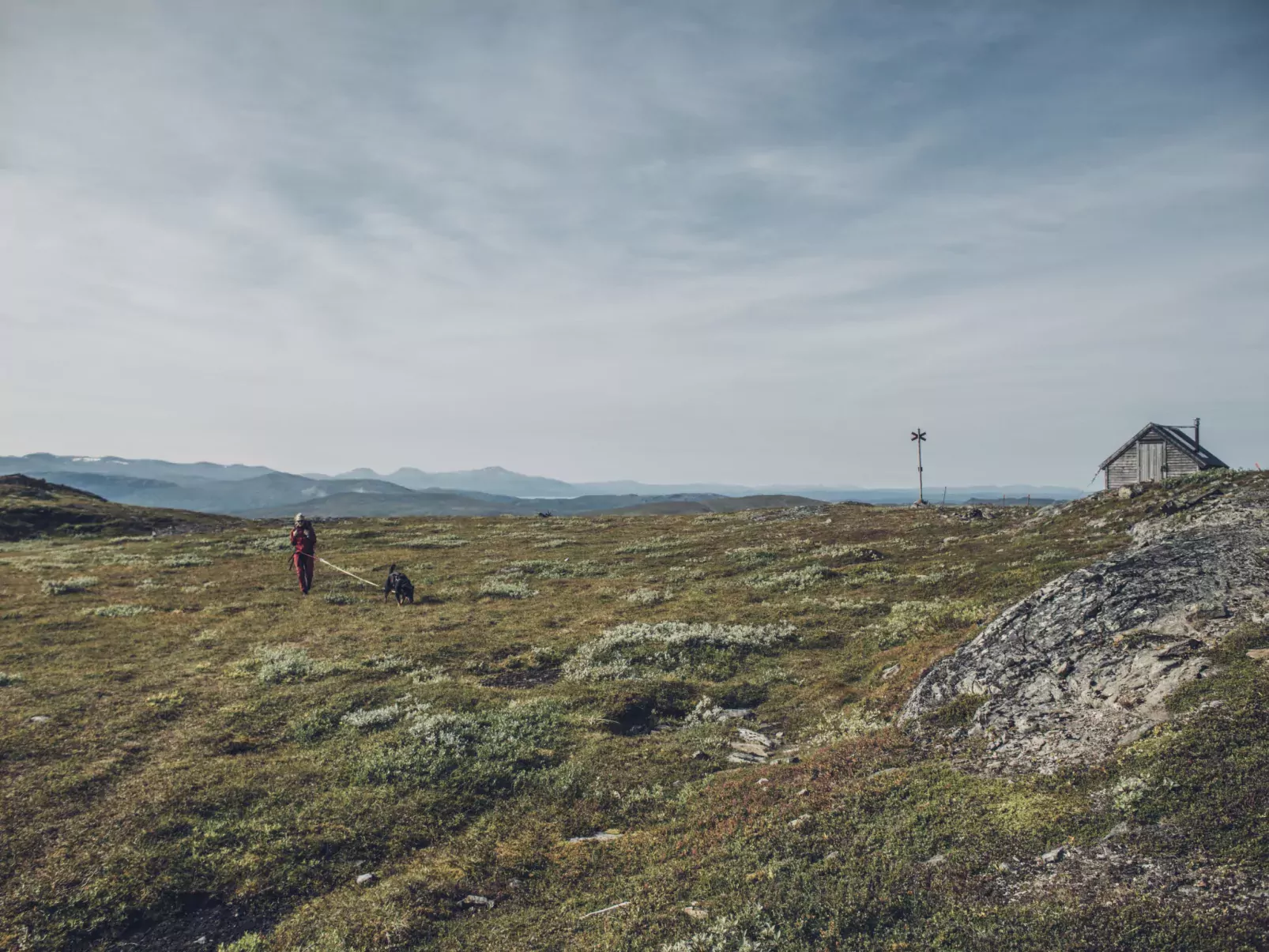 Trillevallen 1-Omgeving