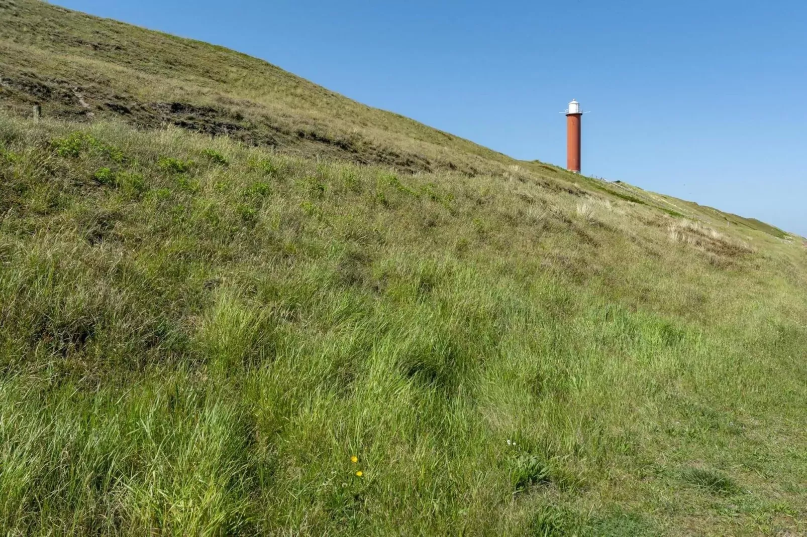 Strandleven 006-Gebieden zomer 1km