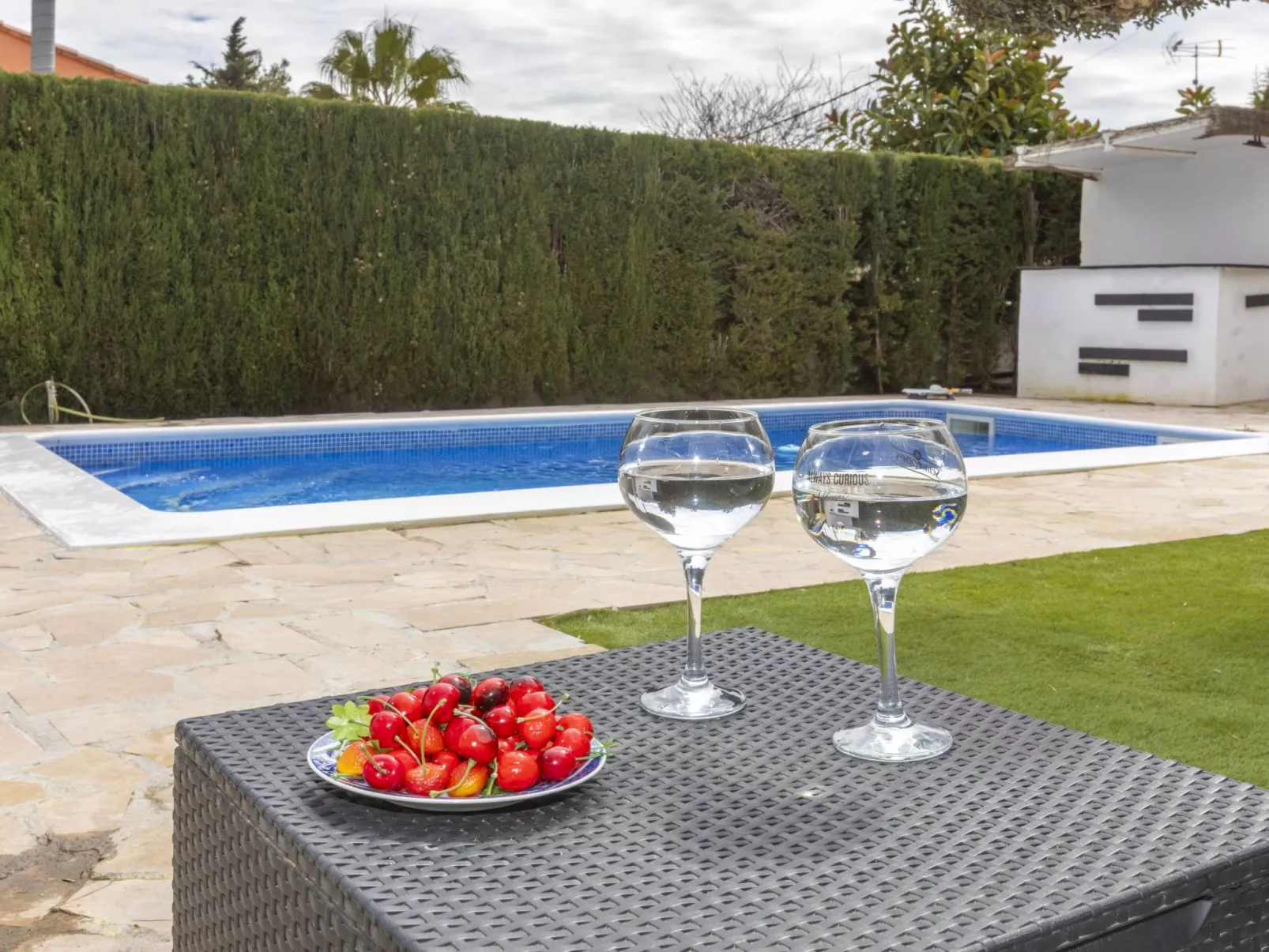 Villa Palmera IV