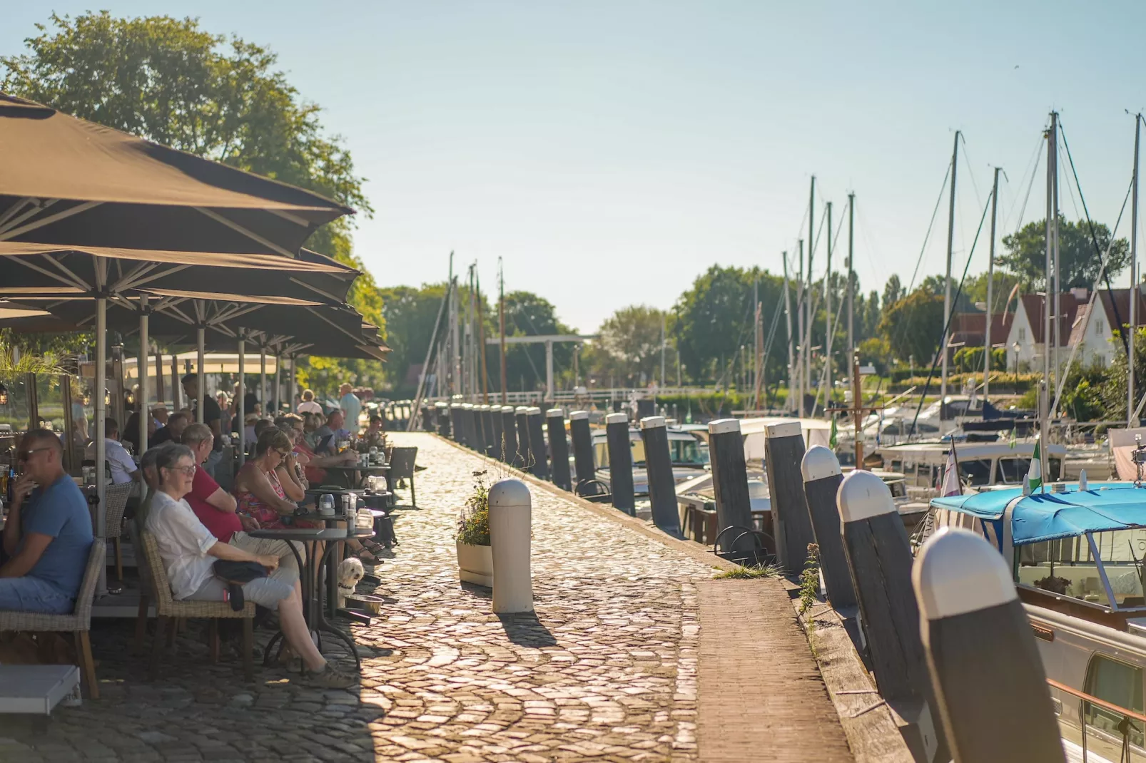 Park Veerse Kreek 1-Gebieden zomer 5km