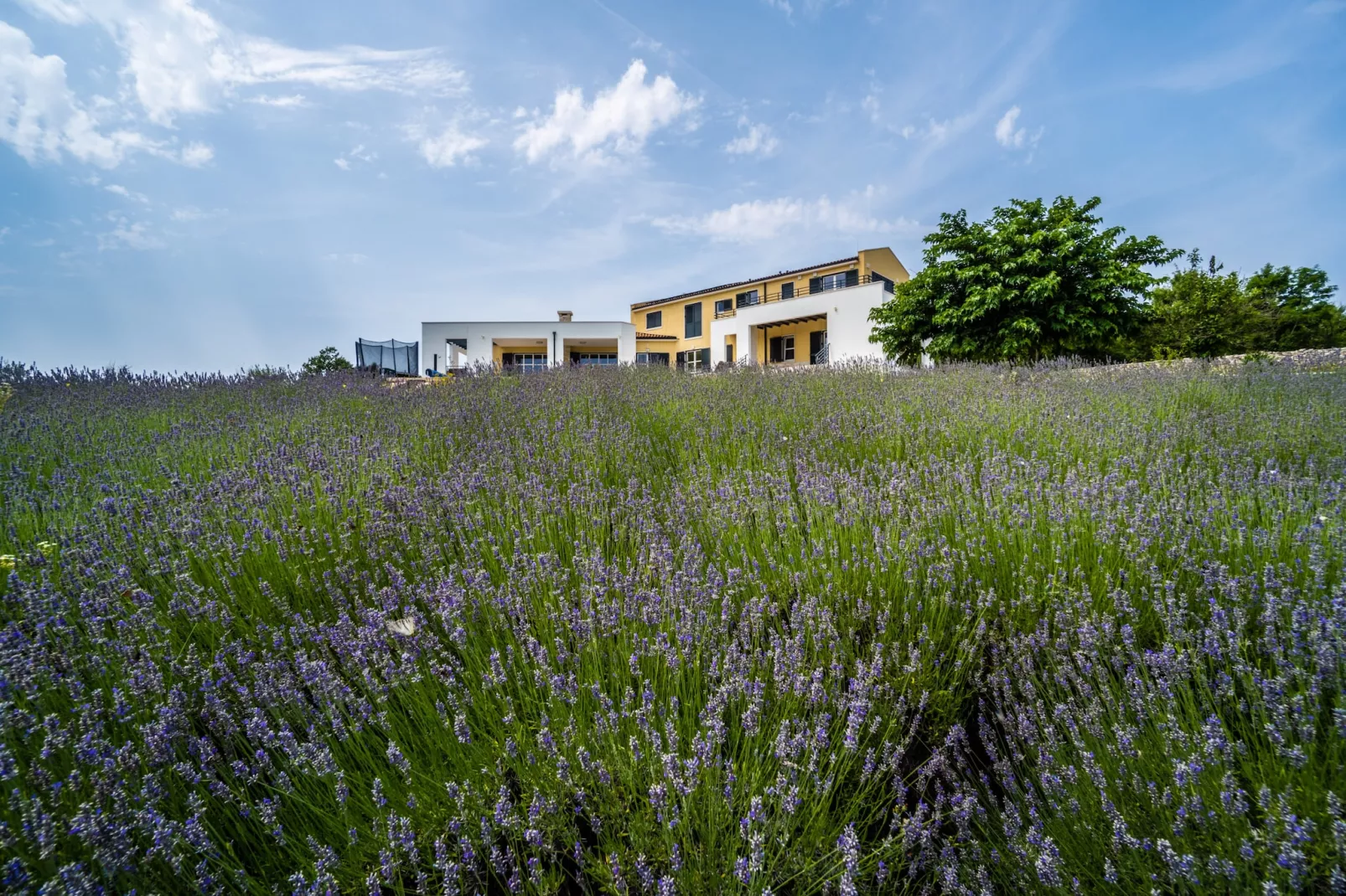 Villa Arkaim with Private Pool-Tuinen zomer