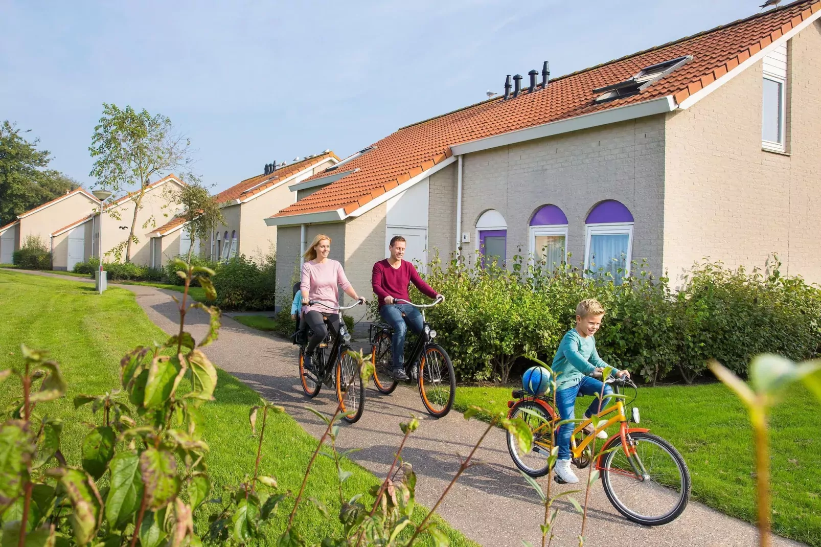 Vakantiepark Soeten Haert 13-Gebieden zomer 1km