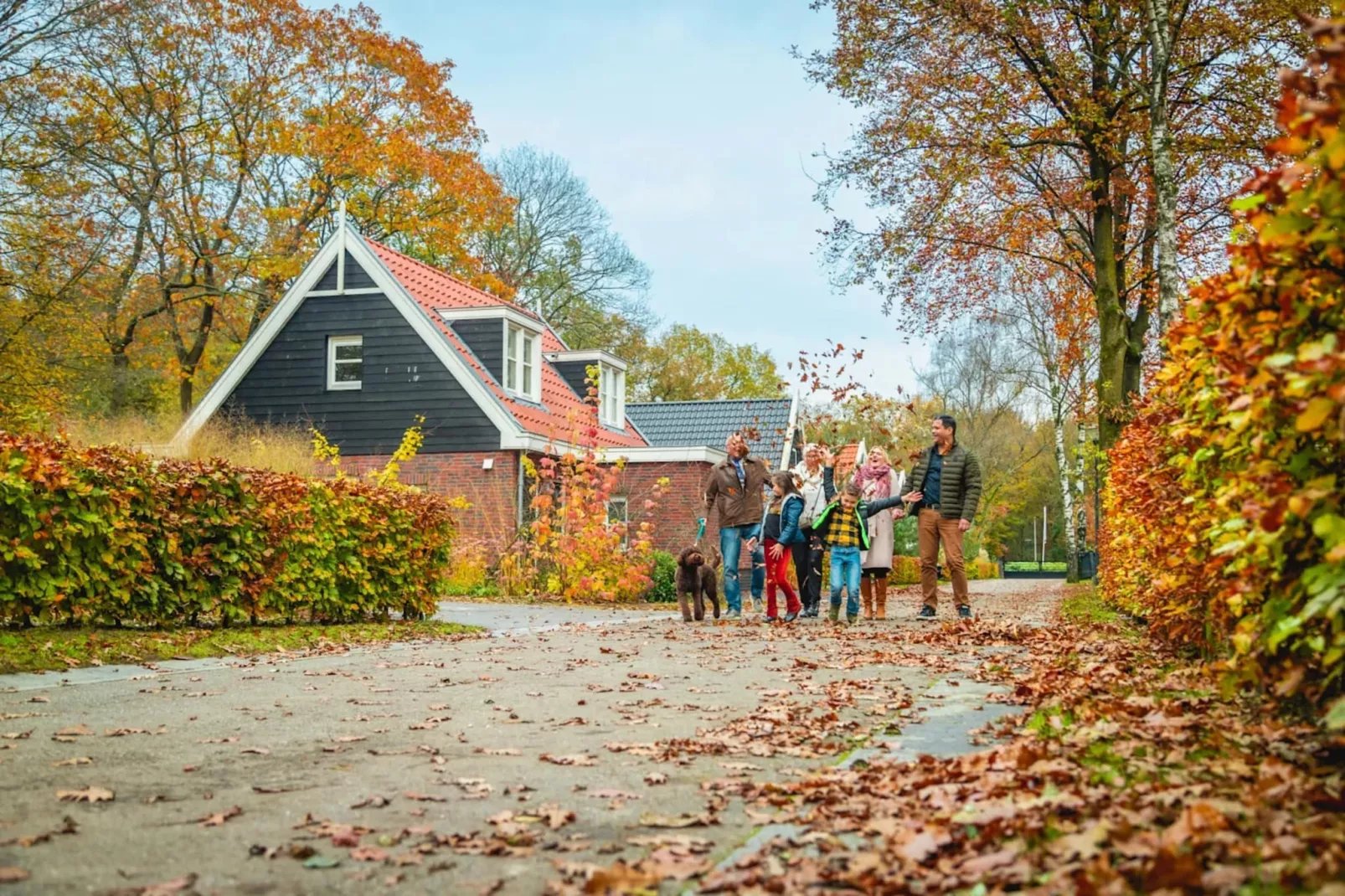 Resort Hooge Veluwe 10-Parkfaciliteiten