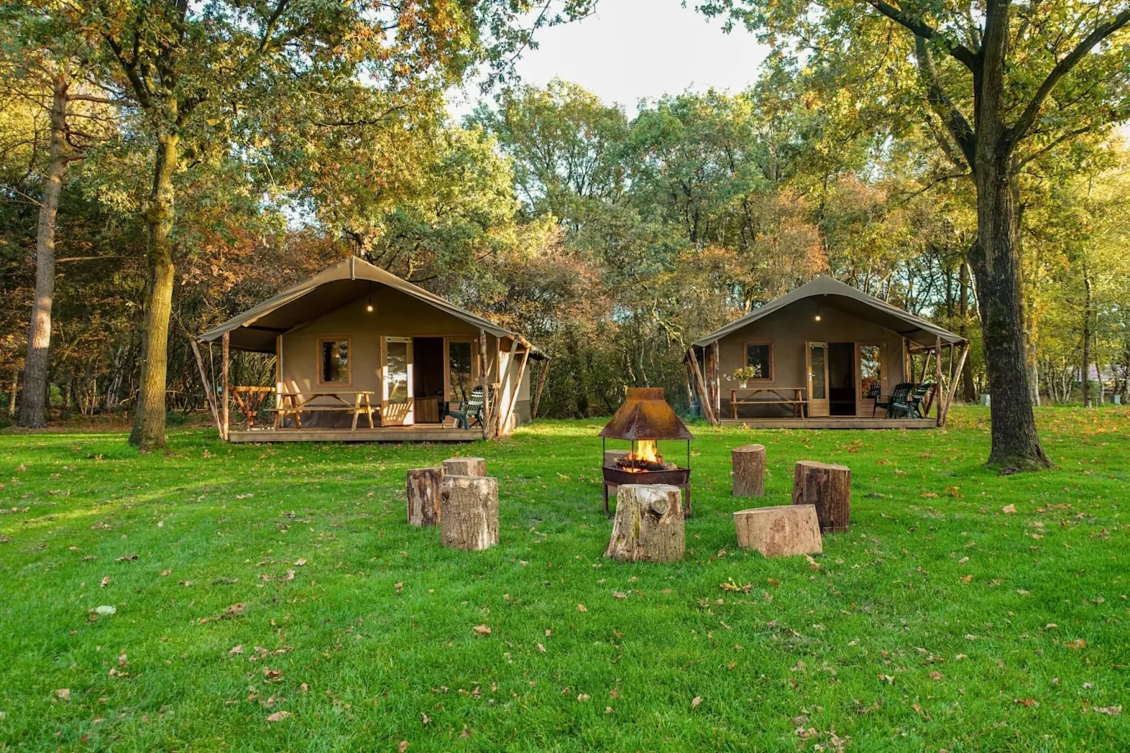 Resort Ruinen 12