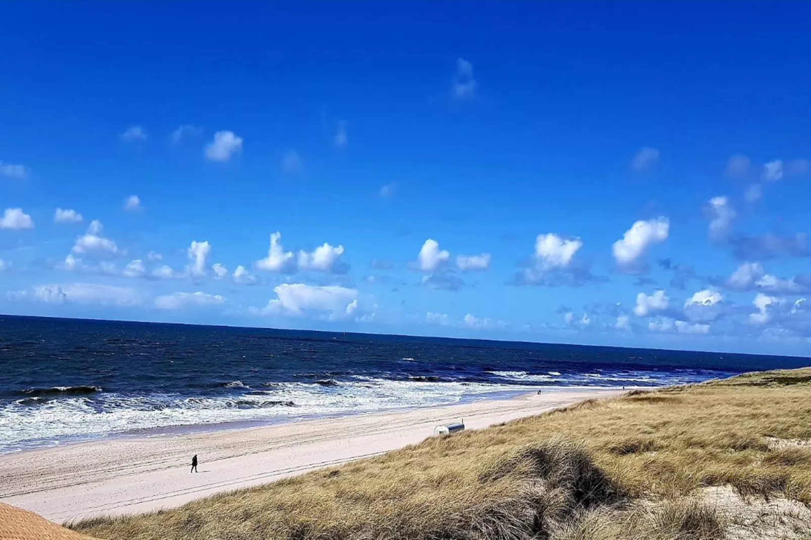 Ferienhaus Merve 21-Gebieden zomer 5km