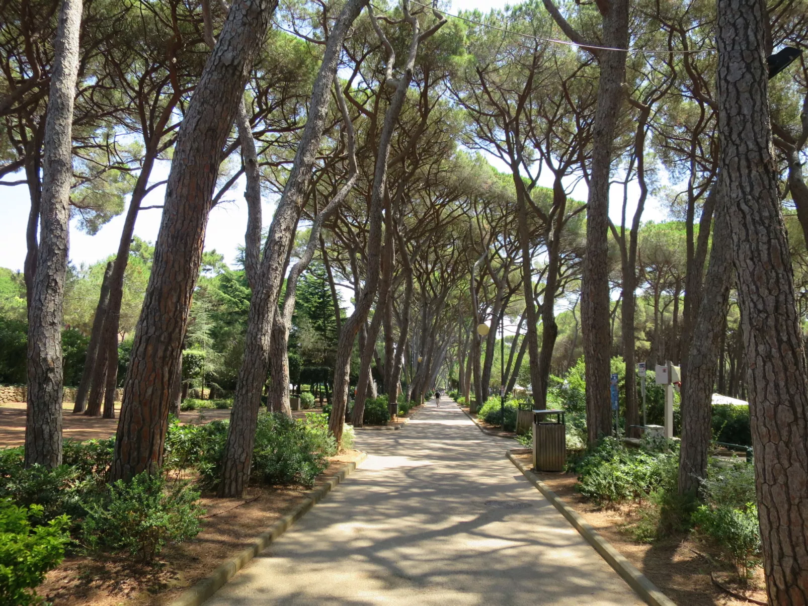 Saida-Omgeving