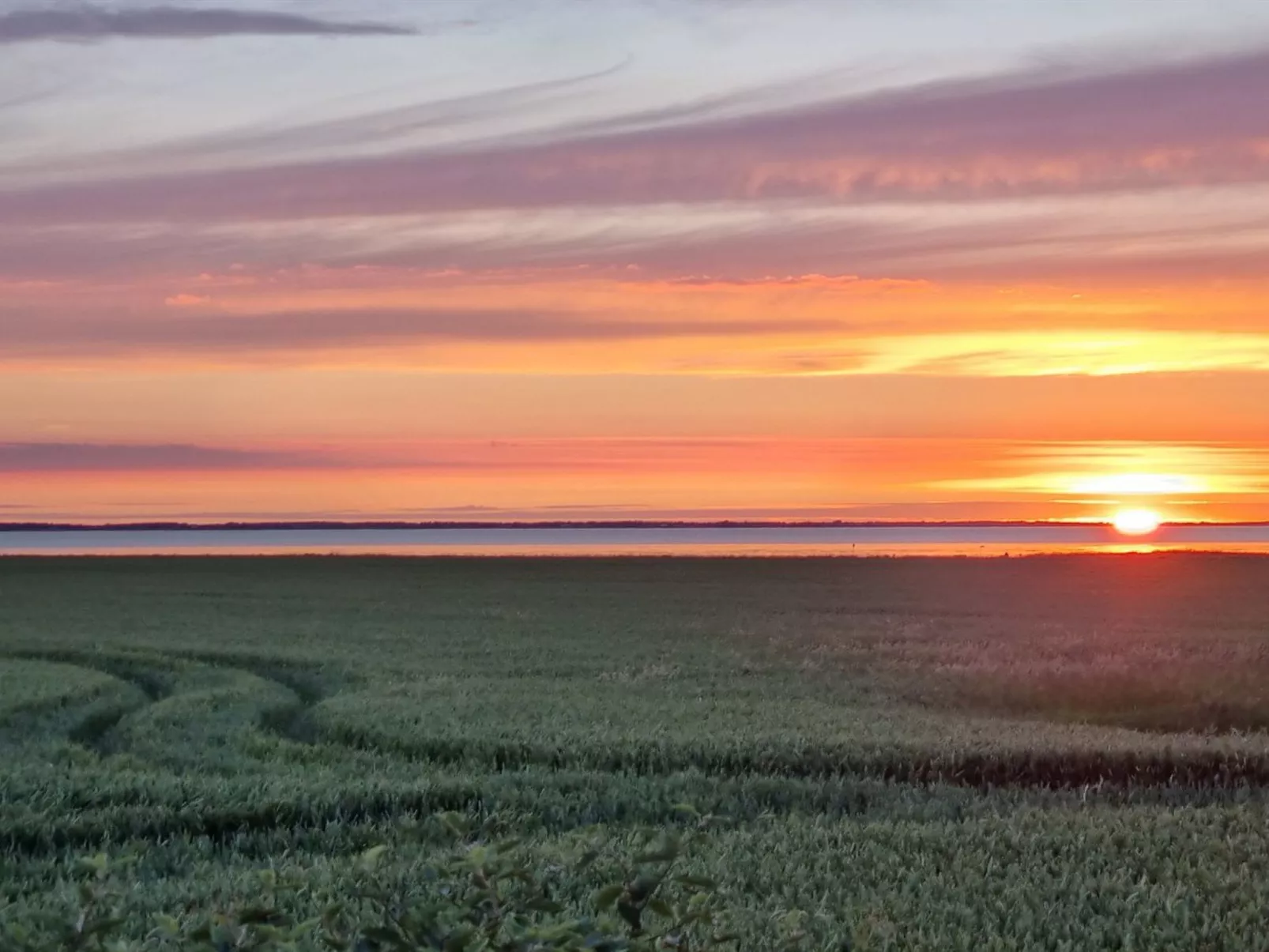 "Freja" - 12km from the sea