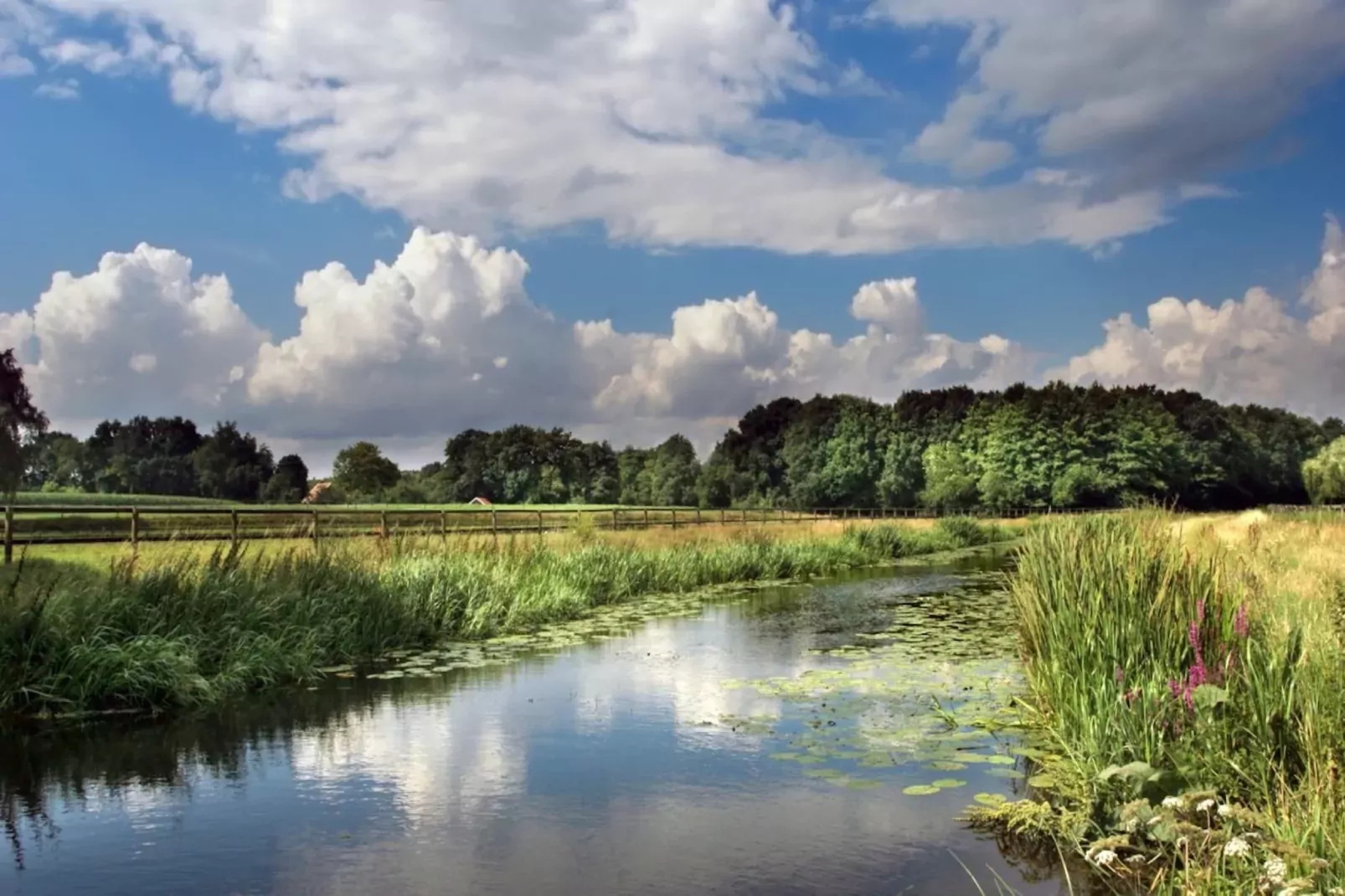 Vakantiecentrum 't Schuttenbelt 1-Gebieden zomer 5km