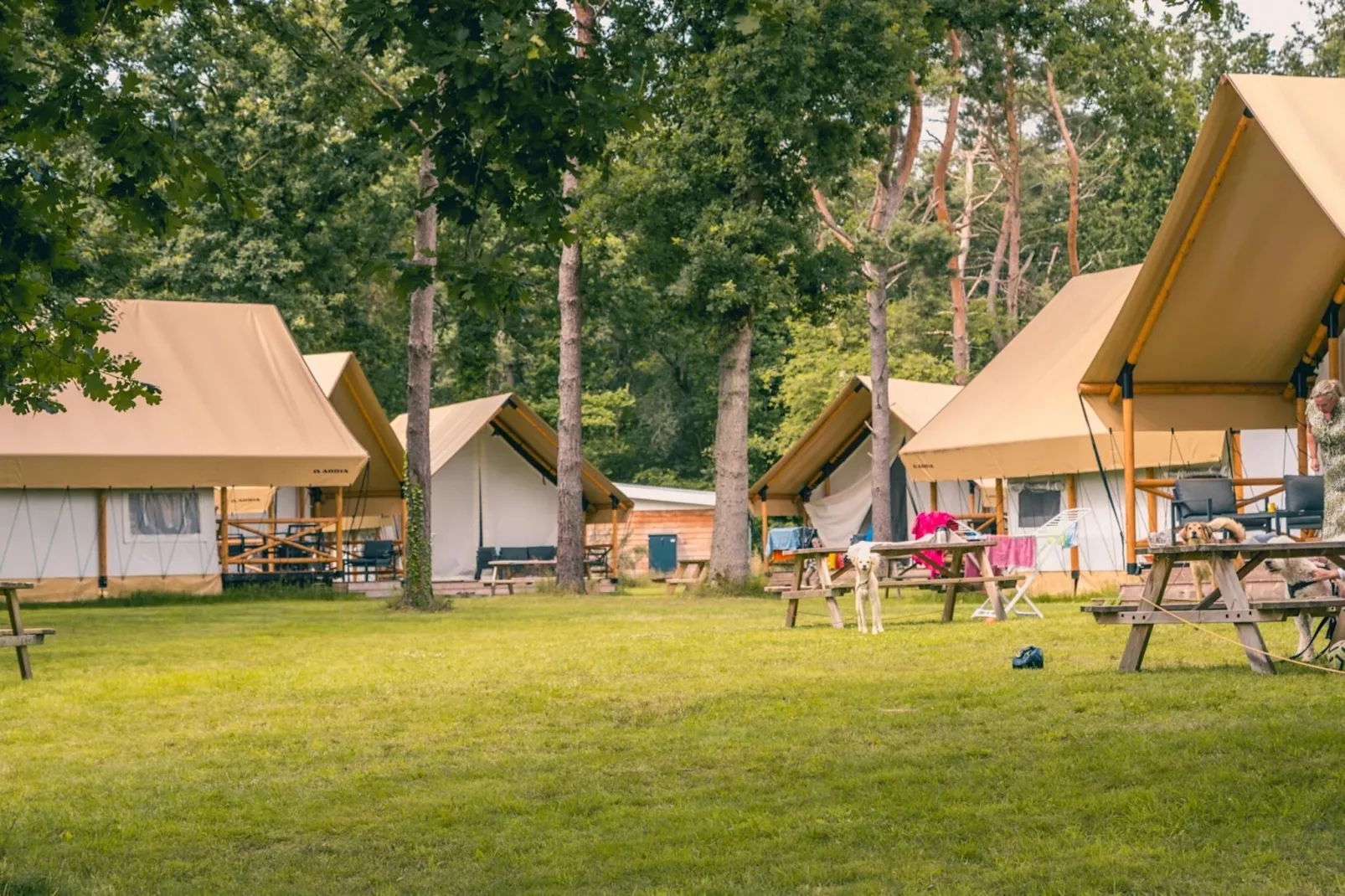 Resort Reestervallei 4-Parkfaciliteiten